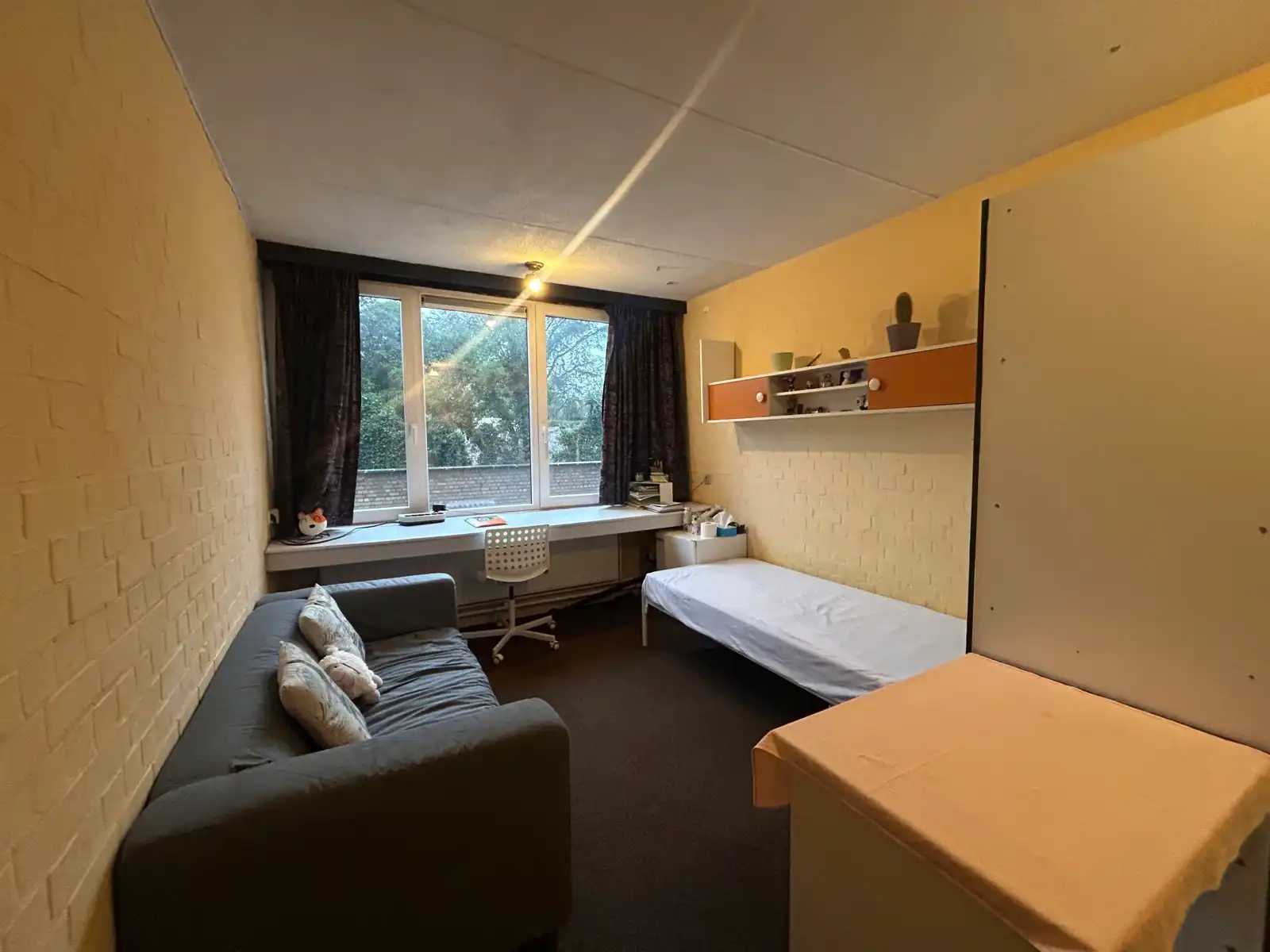 Eenvoudig maar revolutionair studeren foto 2