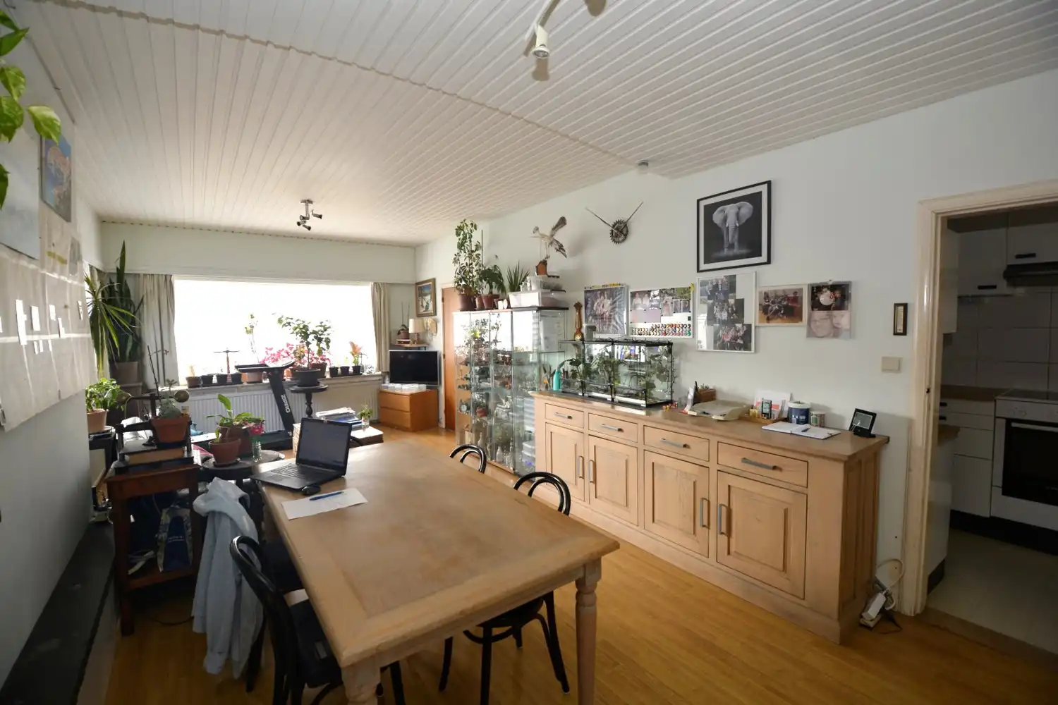 TE MODERNISEREN H.O.B. MET TUIN EN GARAGE! foto 5