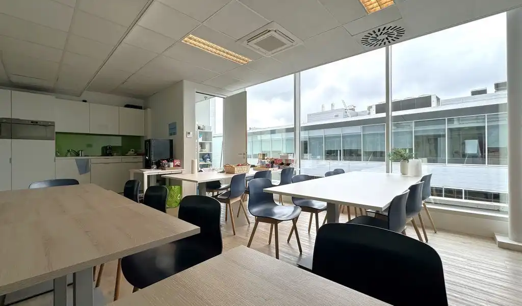 Instapklare kantoren te huur in Antwerp Ring Center foto 10