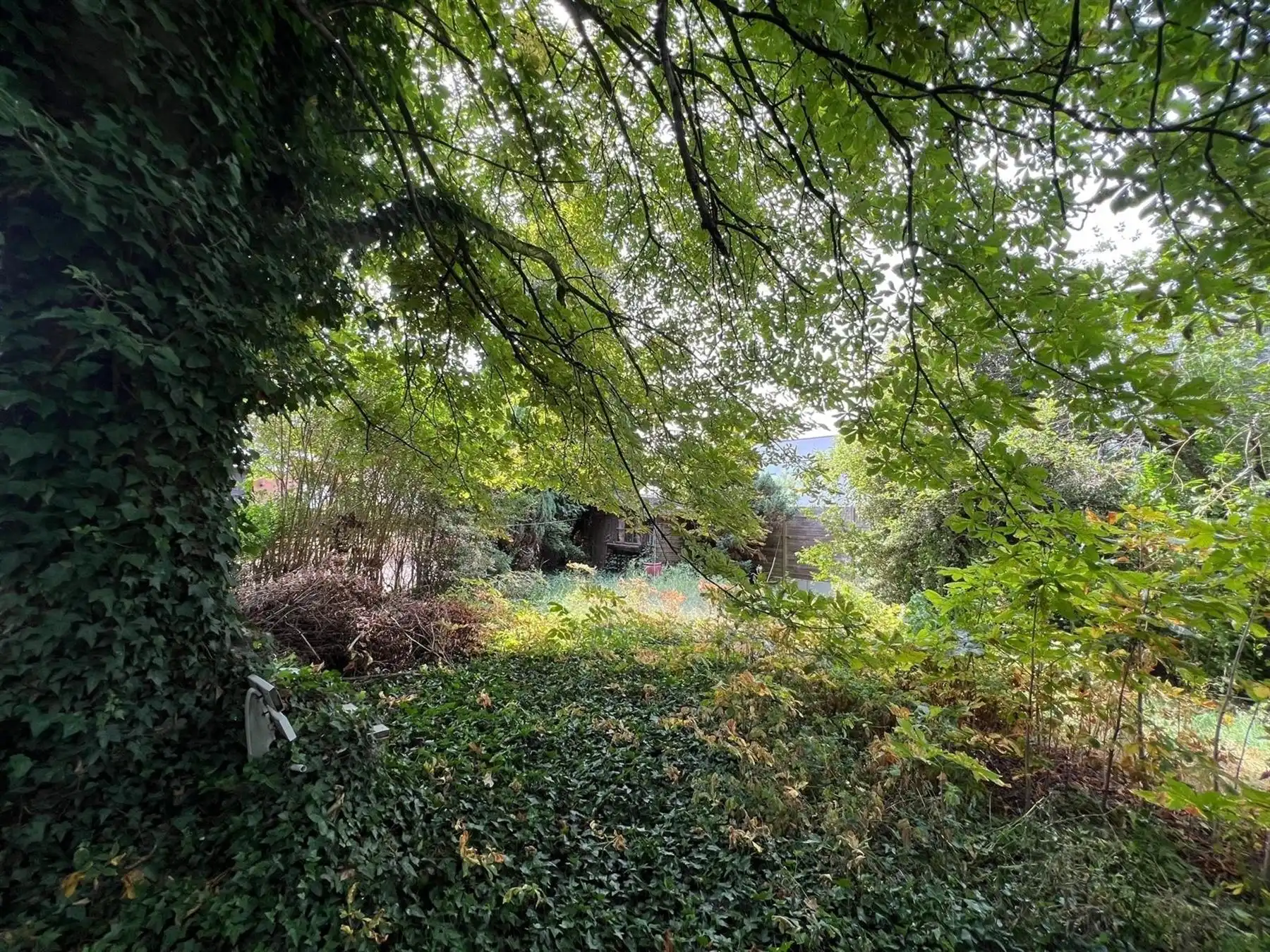 VERKOCHT! KATHLEEN BERTHOUTS IMMO: 0477.78.98.88 foto 4