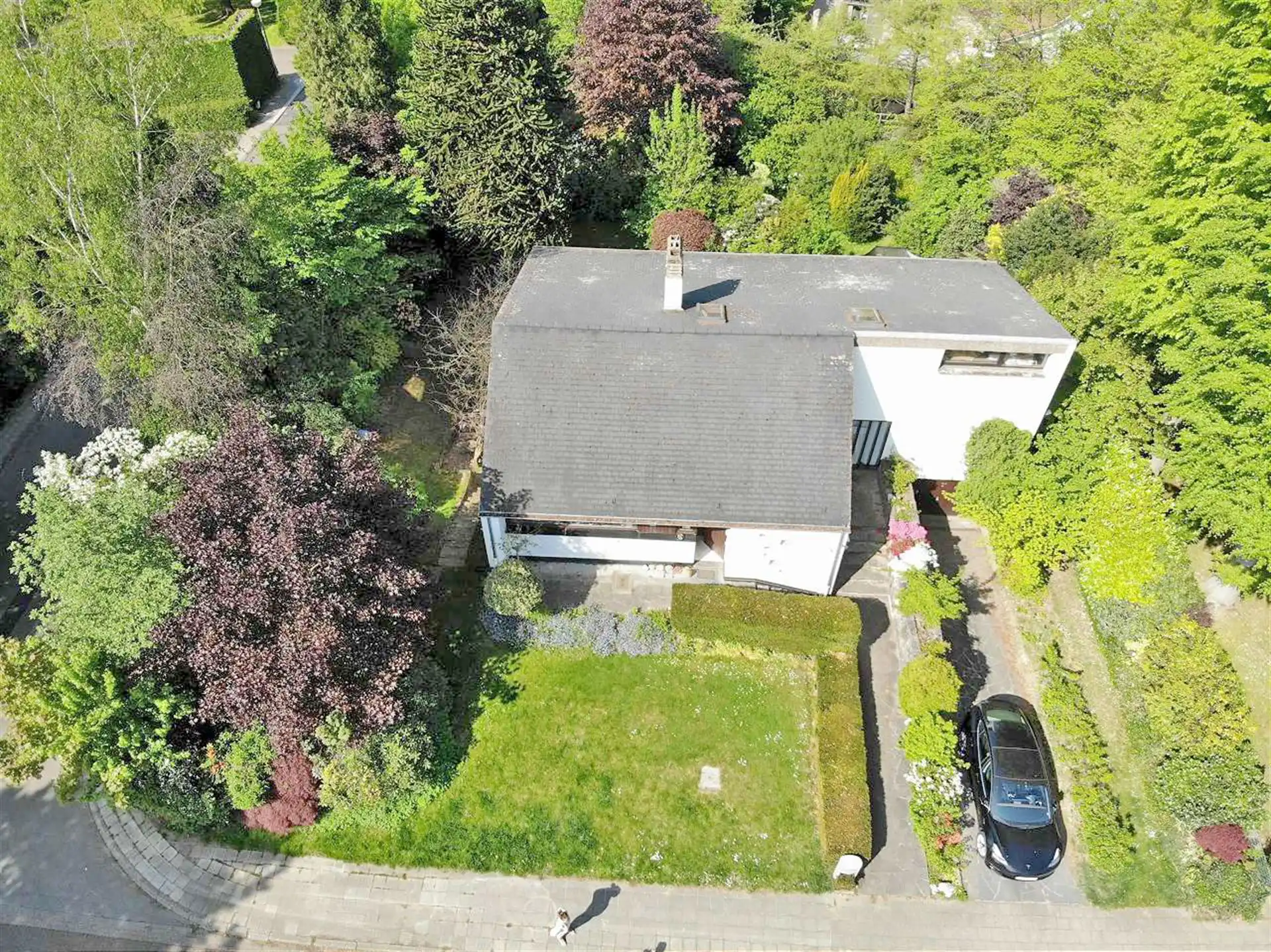 Zonovergoten te renoveren villa nabij Zoniënwoud foto 36