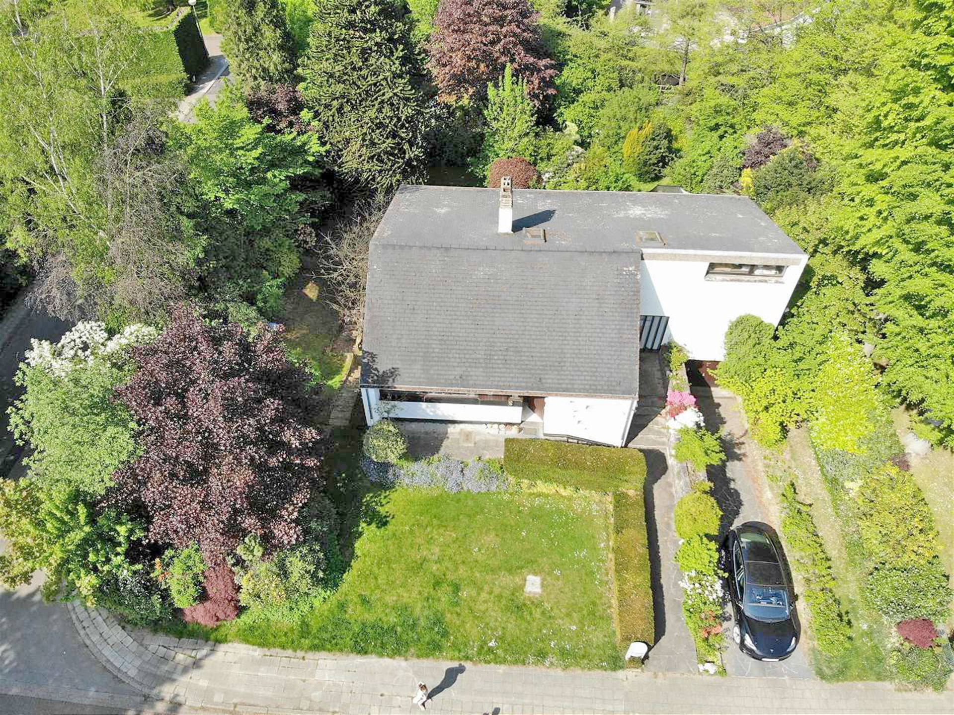 Zonovergoten te renoveren villa nabij Zoniënwoud foto 36