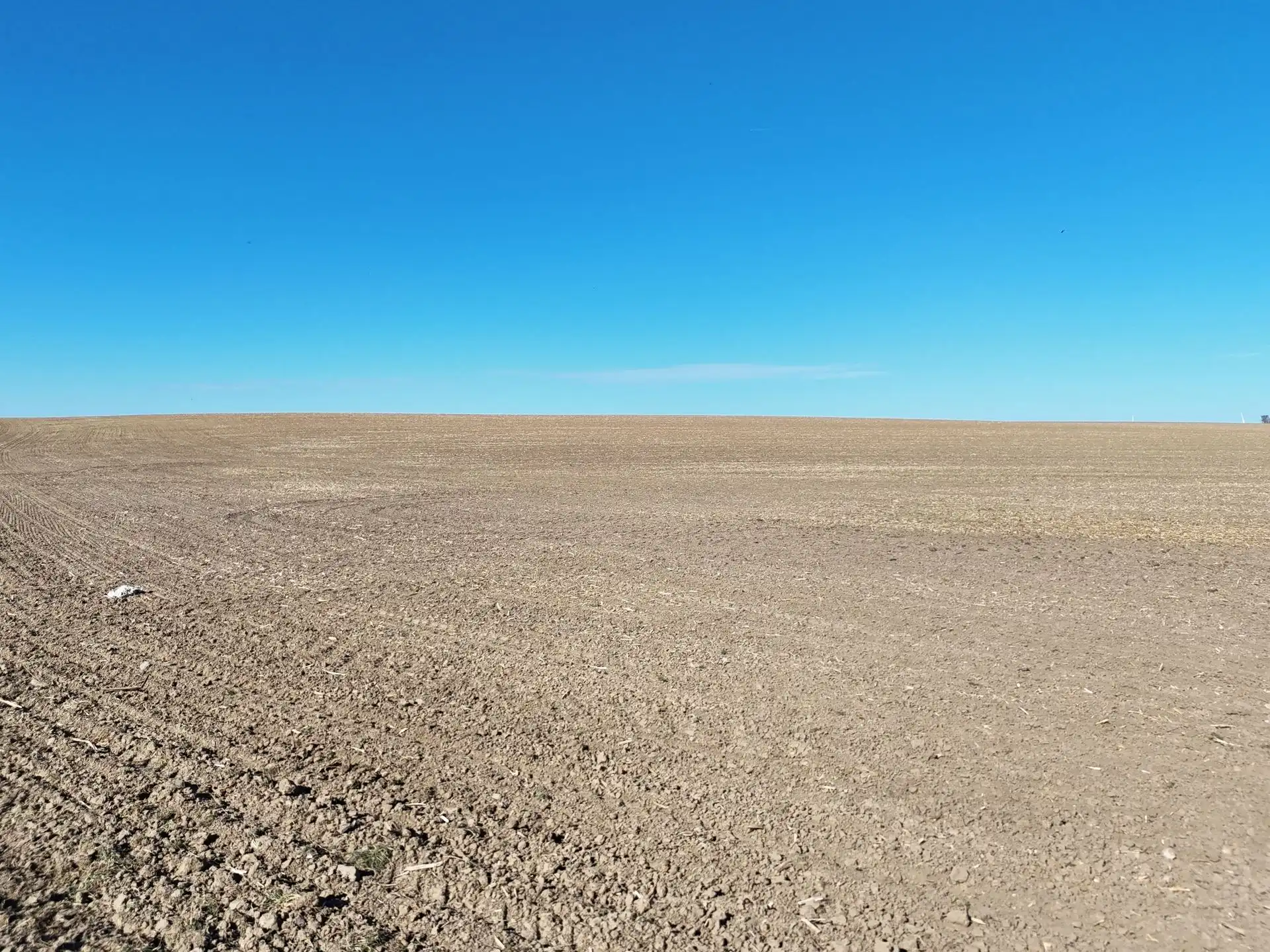 Groot perceel landbouwgrond - BLOK D foto 13