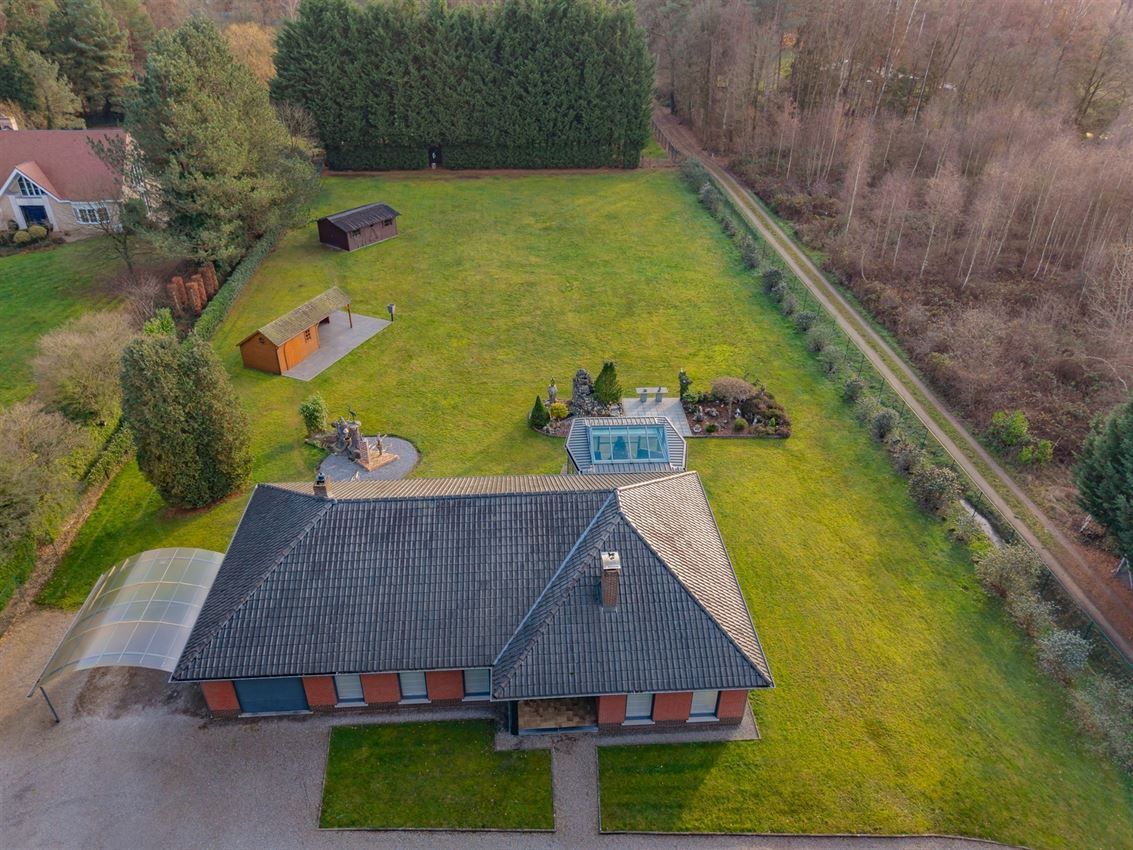 verborgen parel in het groen foto 34