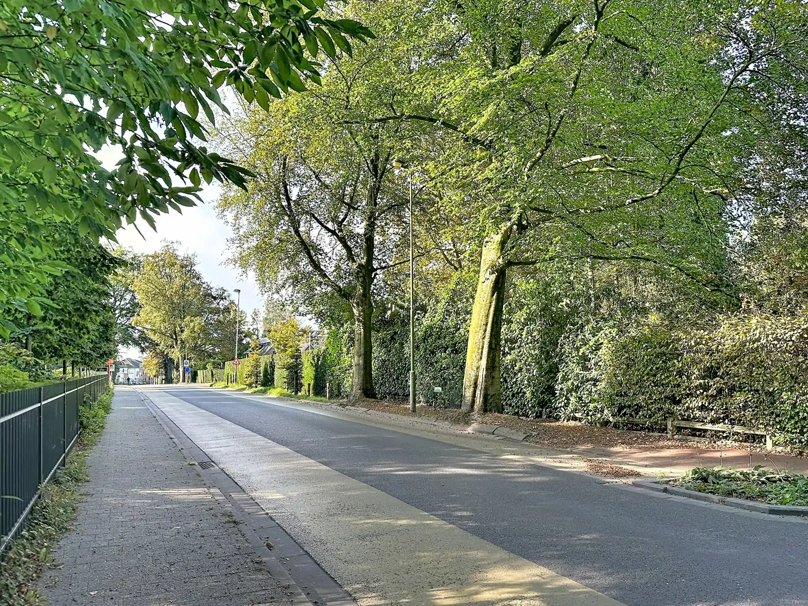 Bouwgrond voor een villa op toplocatie nabij Kasteel Solhof foto 3
