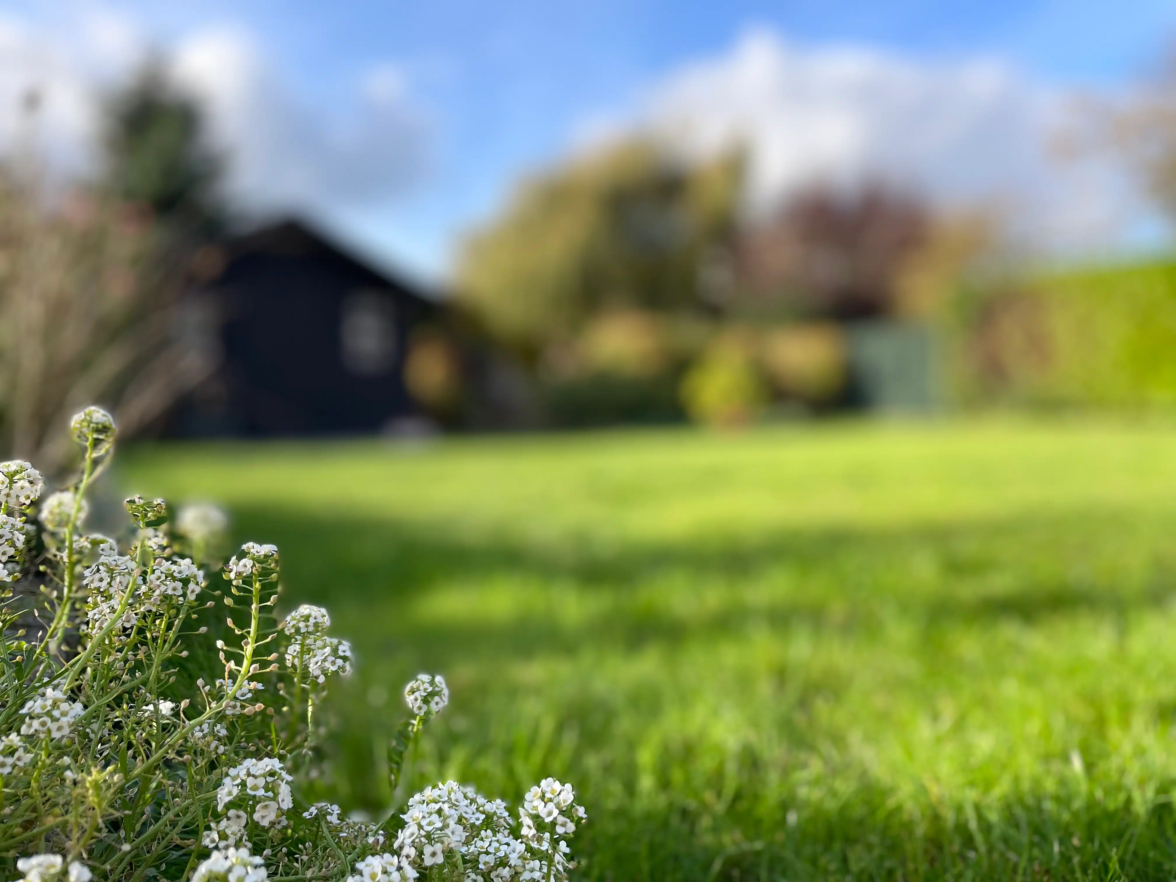 Charmante halve open bebouwing op een zeer geliefde plek in Landen foto 29