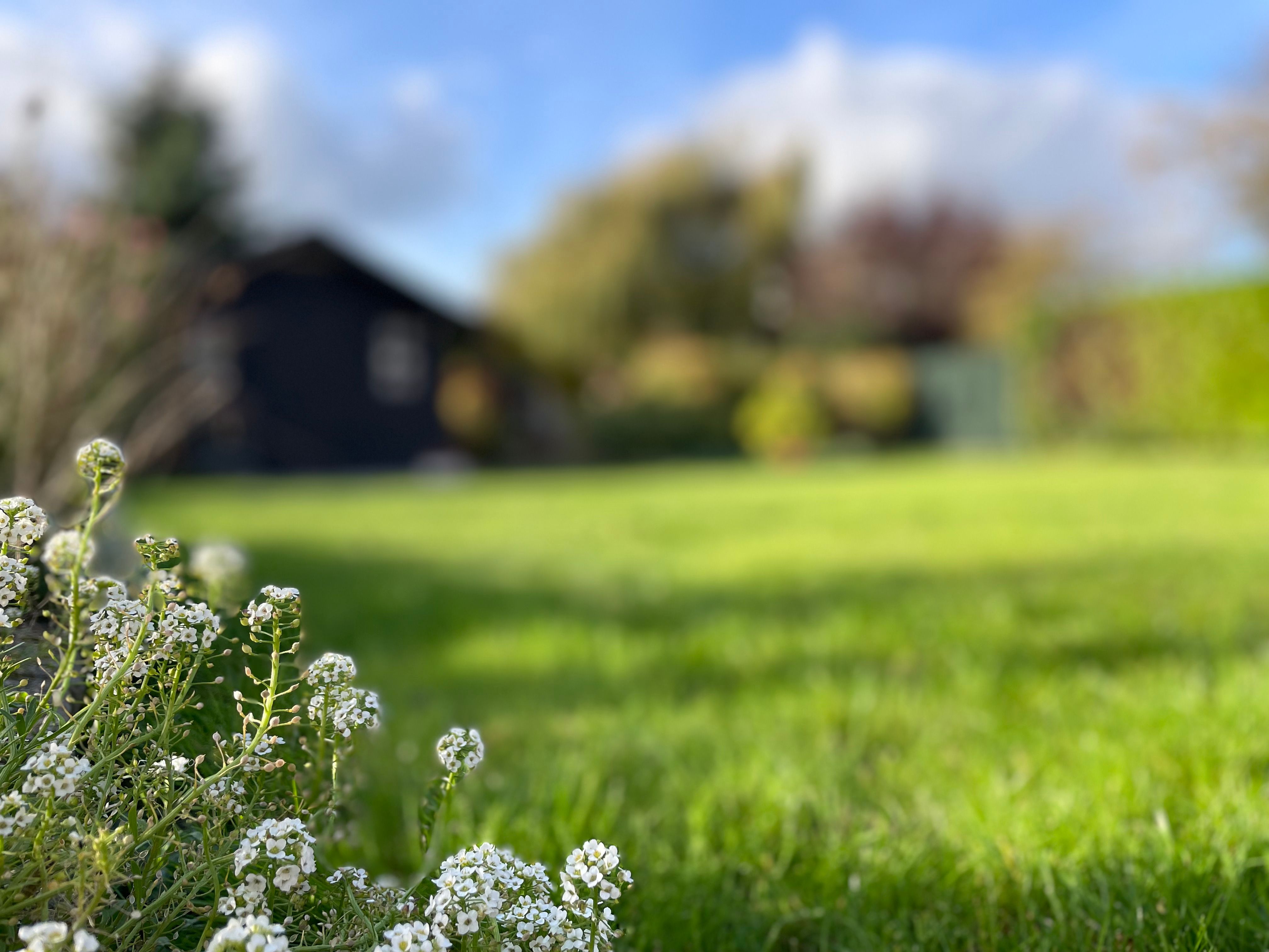 Charmante halve open bebouwing op een zeer geliefde plek in Landen foto 29