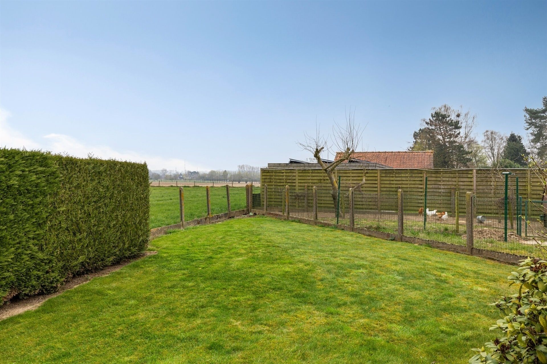 Rustig gelegen landhuis met 6 kamers foto 11