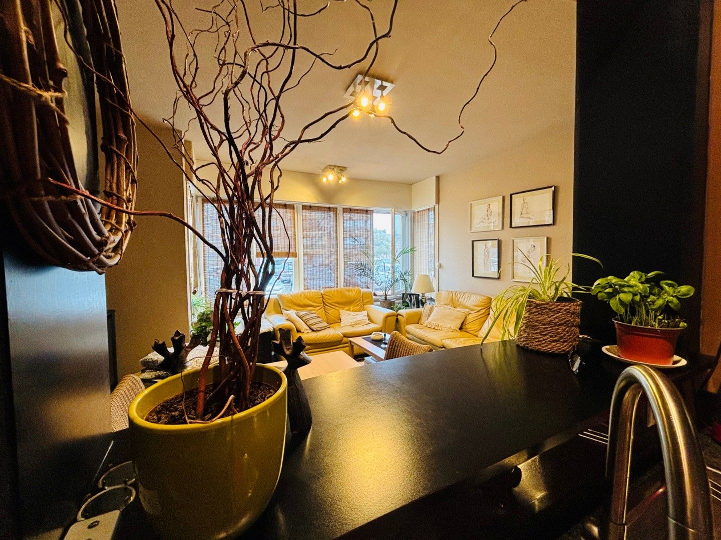 GELIJKVLOERSAPPARTEMENT OP VOETSTAP VAN DE ZEELIJN  foto 7