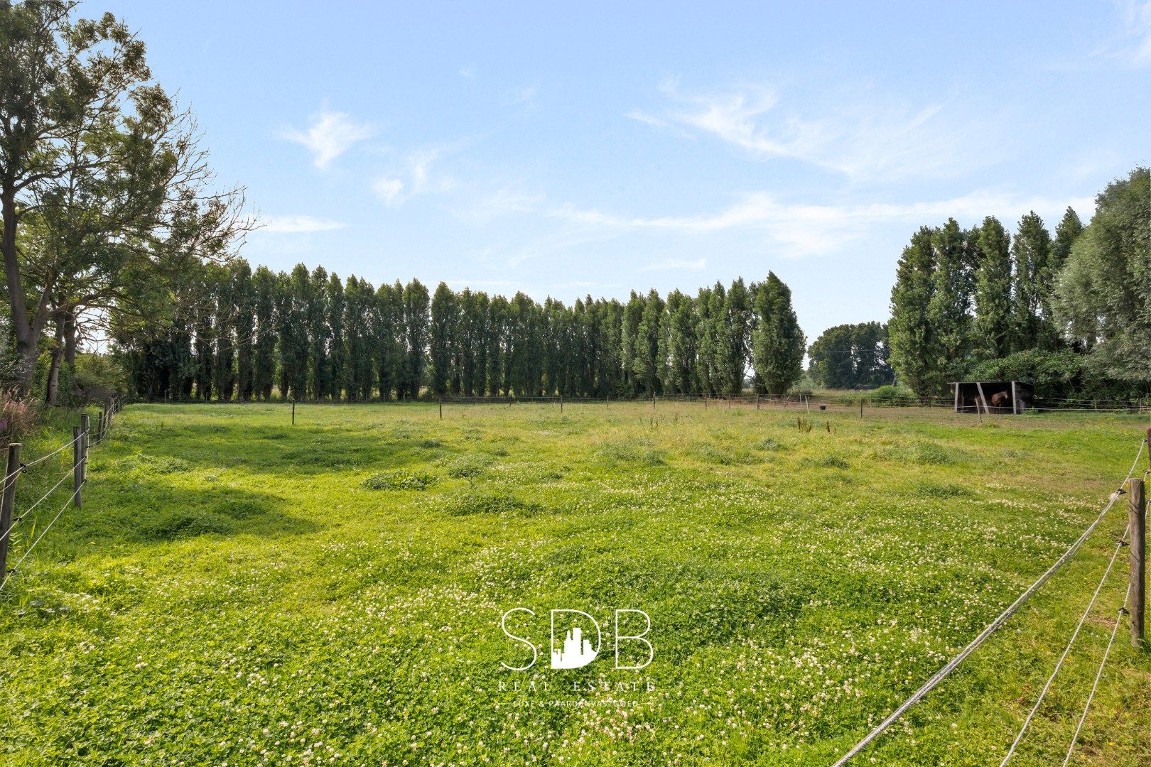Hedendaagse villa met gezinstuin en graslanden op 7.496m² foto 40