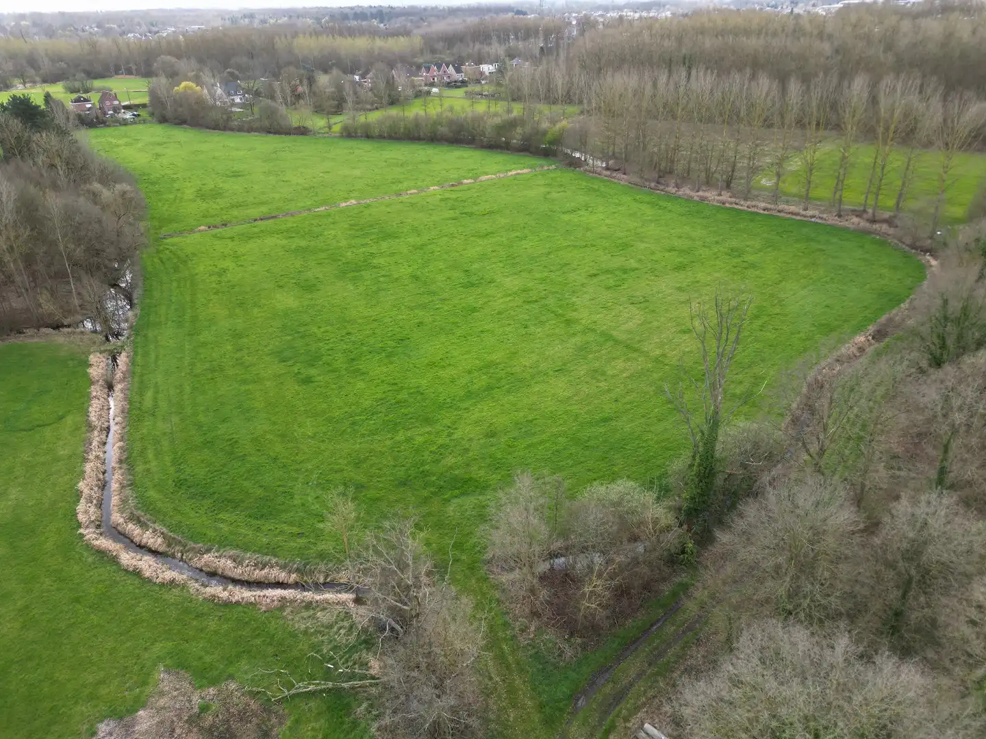  foto {{pictureIndex}}