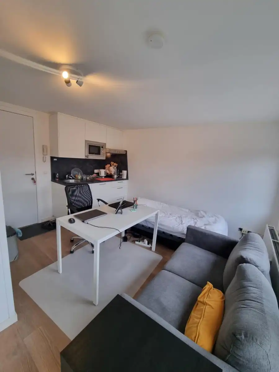 Lichtrijk appartement in Leuven/Heverlee!  foto 3