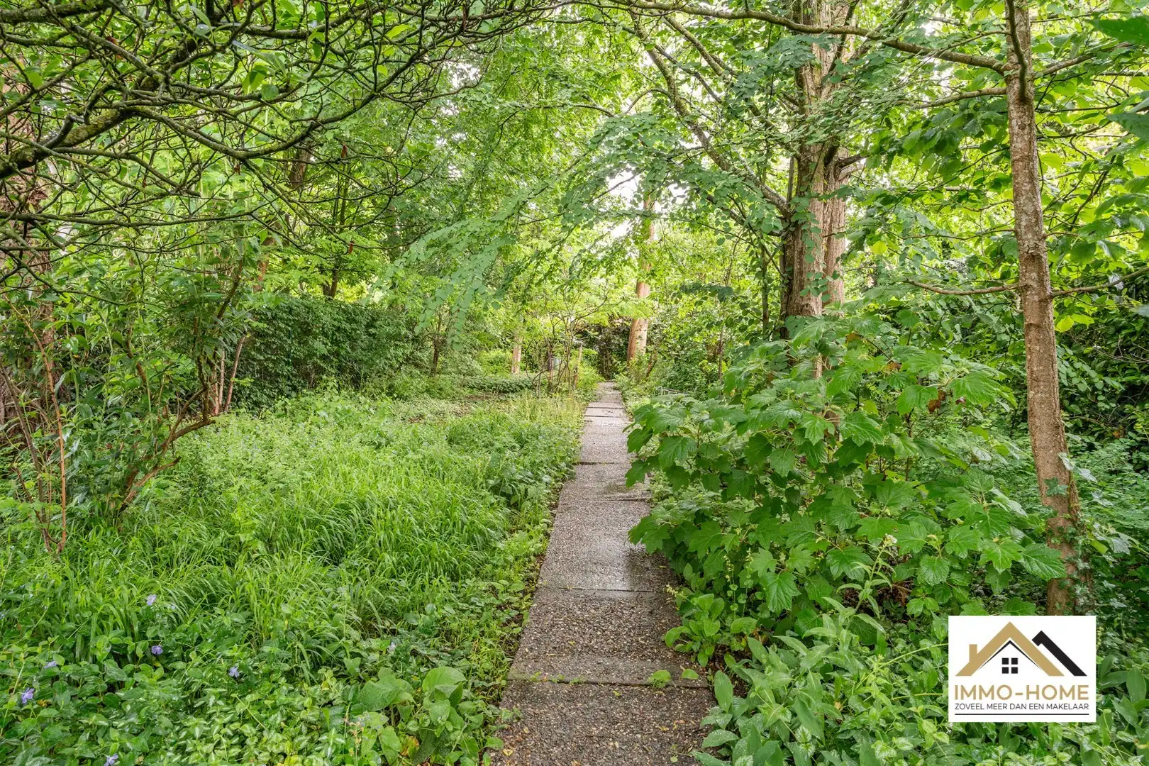 Instapklare woning met ruime tuin op topligging  foto 23