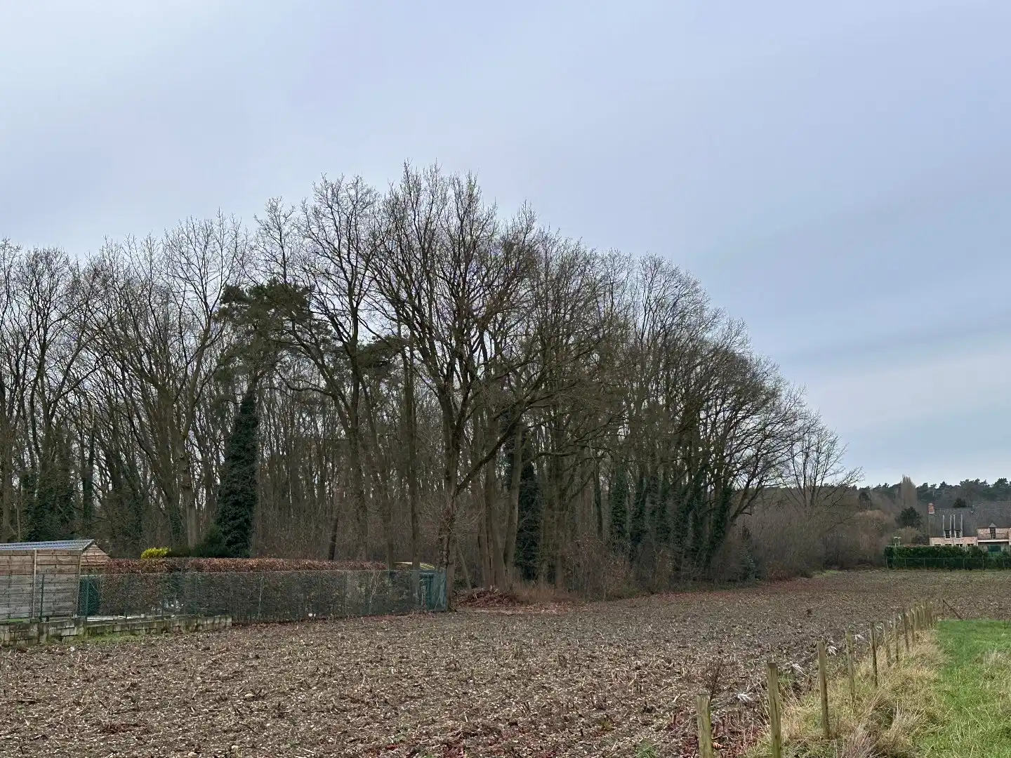 2 BOUWGRONDEN VOOR OPEN BEBOUWING EN ACHTERLIGGENDE GRONDEN in de bosrijke villabuurt op de Bosstraat te Lanaken!  foto 12