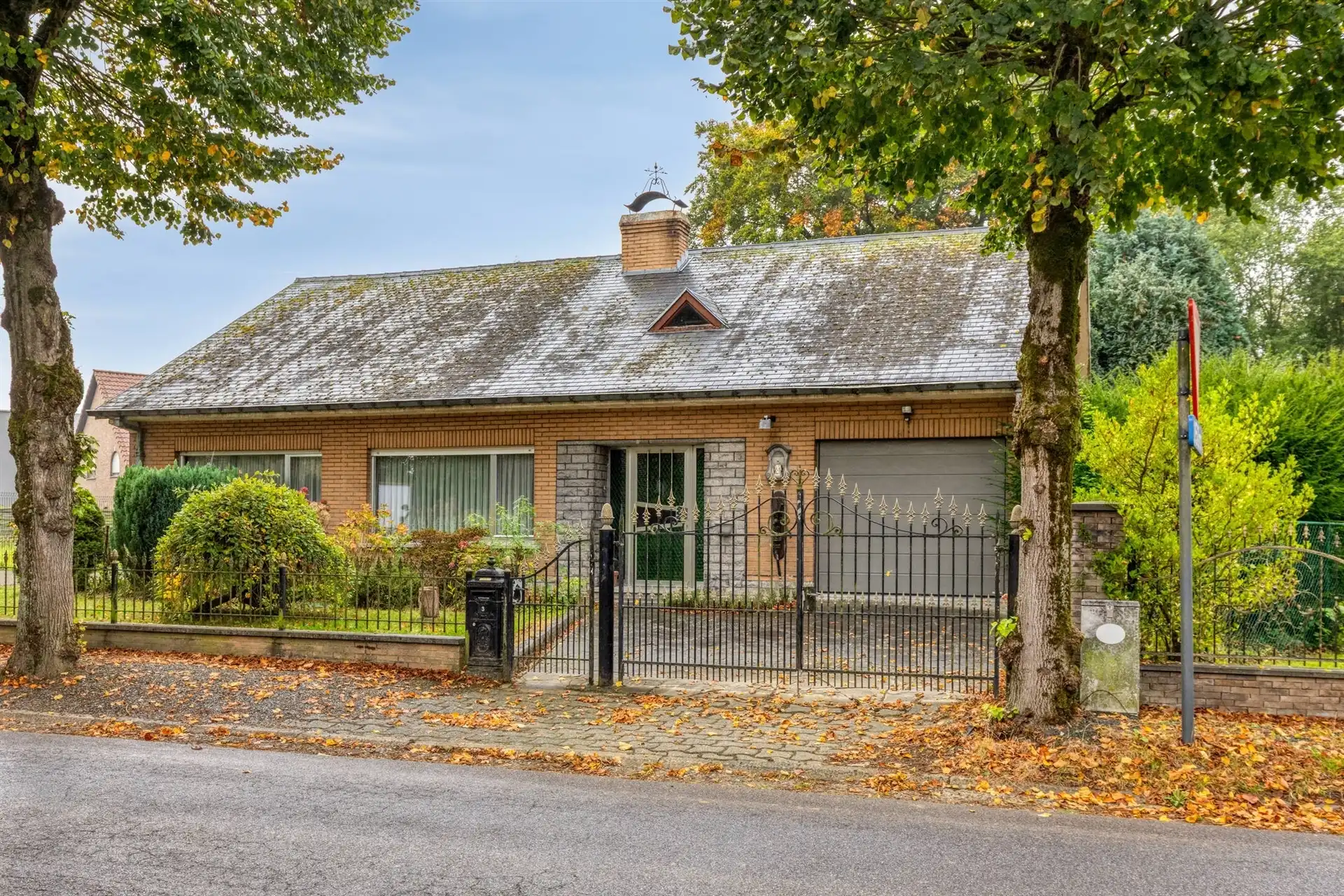 Open bebouwing op groot terrein! foto 3