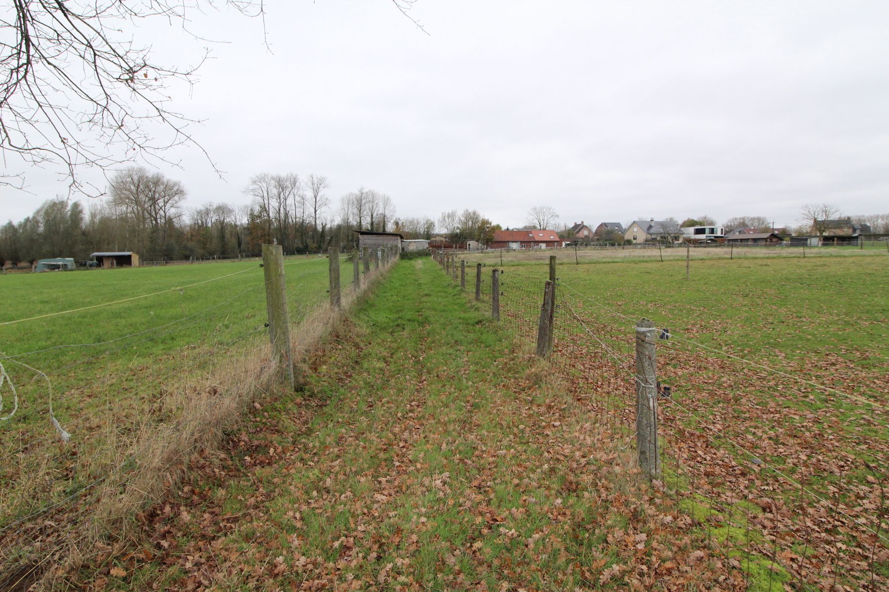 Asbeek: achtergelegen weide  foto 6