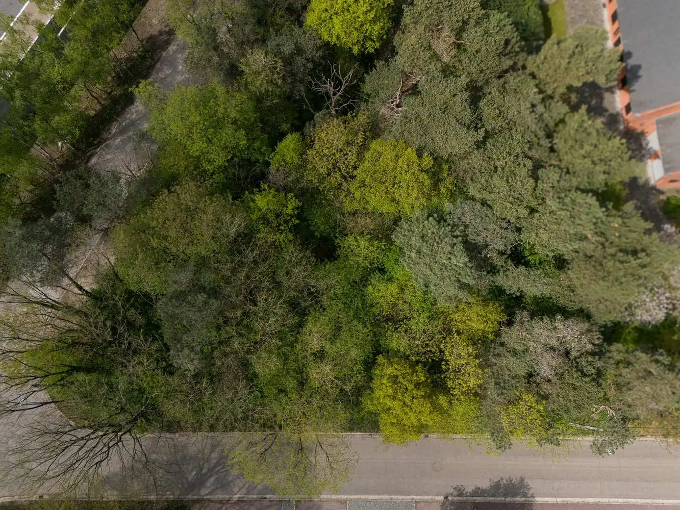 Mooie bouwgrond voor open bebouwing: LOT 1 foto 4