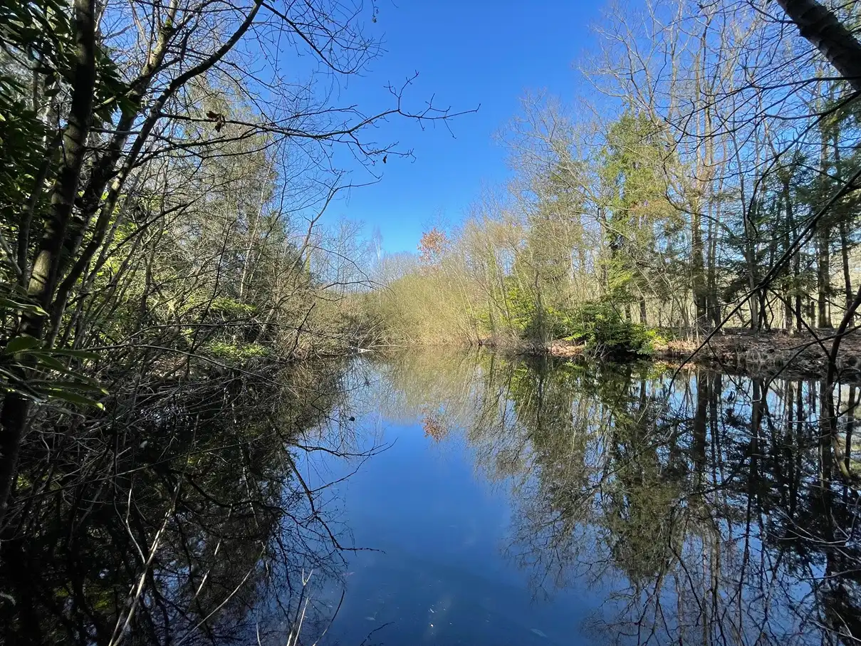 Verblijfsrecreatie met vijver foto {{pictureIndex}}