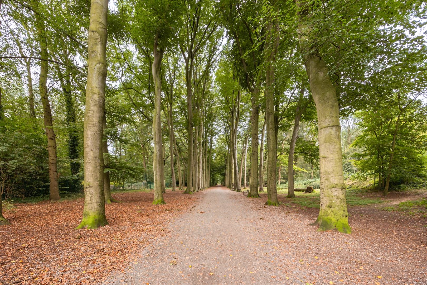 Appartement aan Park Den Brandt foto 24