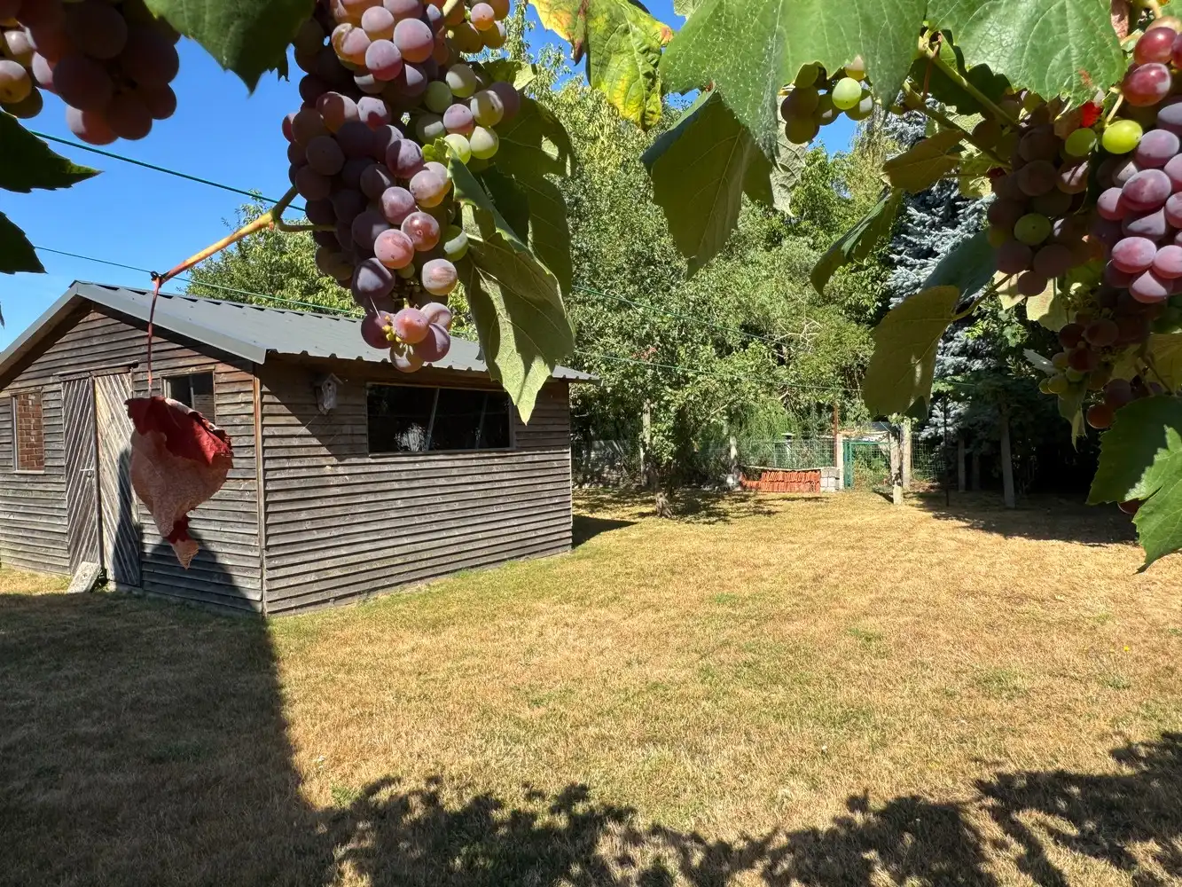 Ruimte, rust en renovatiepotentieel in Diepenbeek foto 19