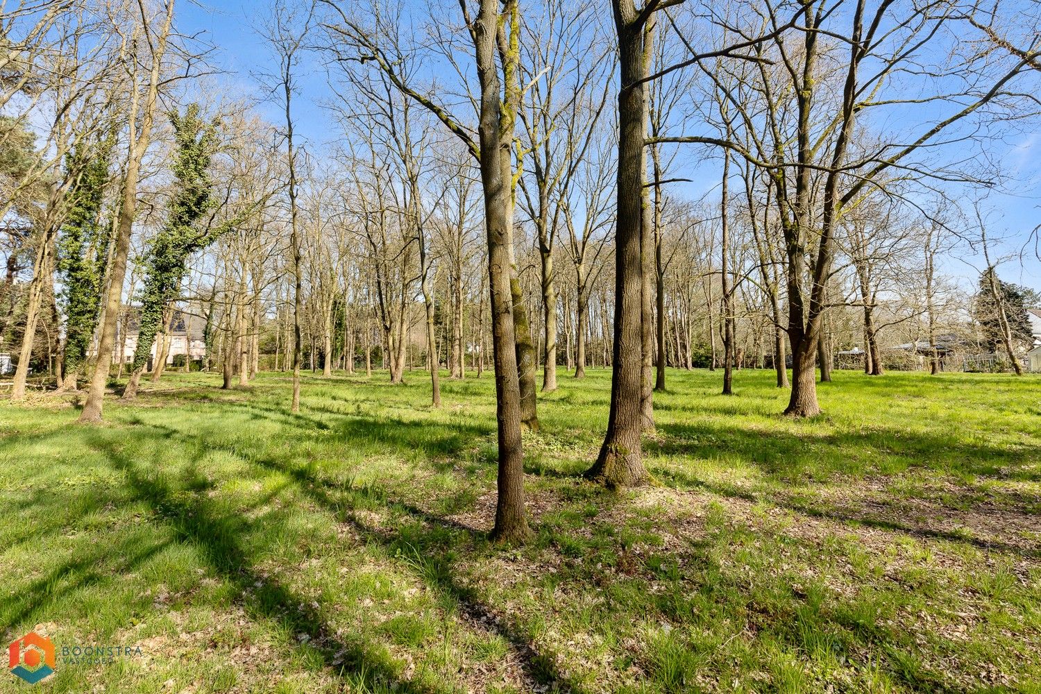 Riante villa met 5 slpkrs op 8625 m² te Rijmenam foto 19