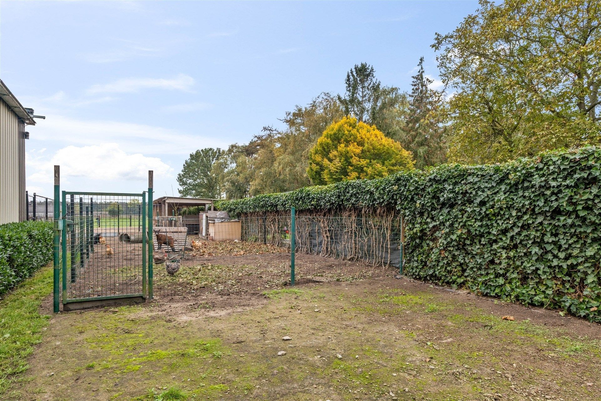 Open bebouwing + stallen op 11.268m² foto 23