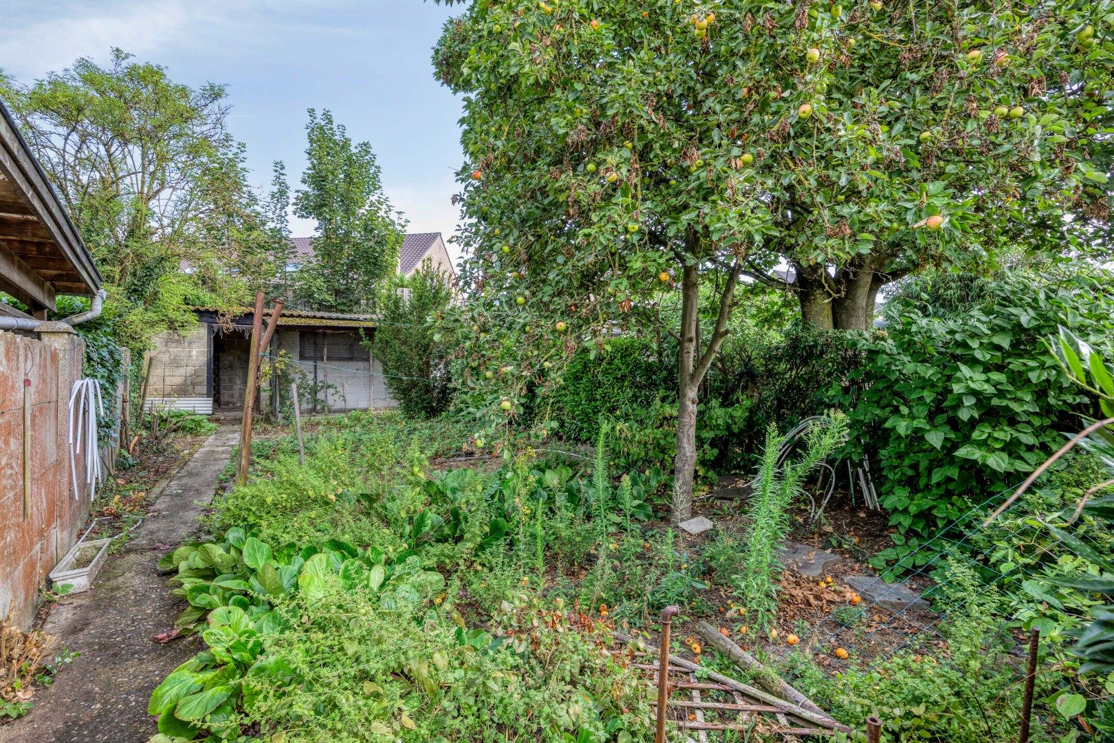 Charmante rijwoning met terras en diepe tuin aan centrum Tongeren foto 27