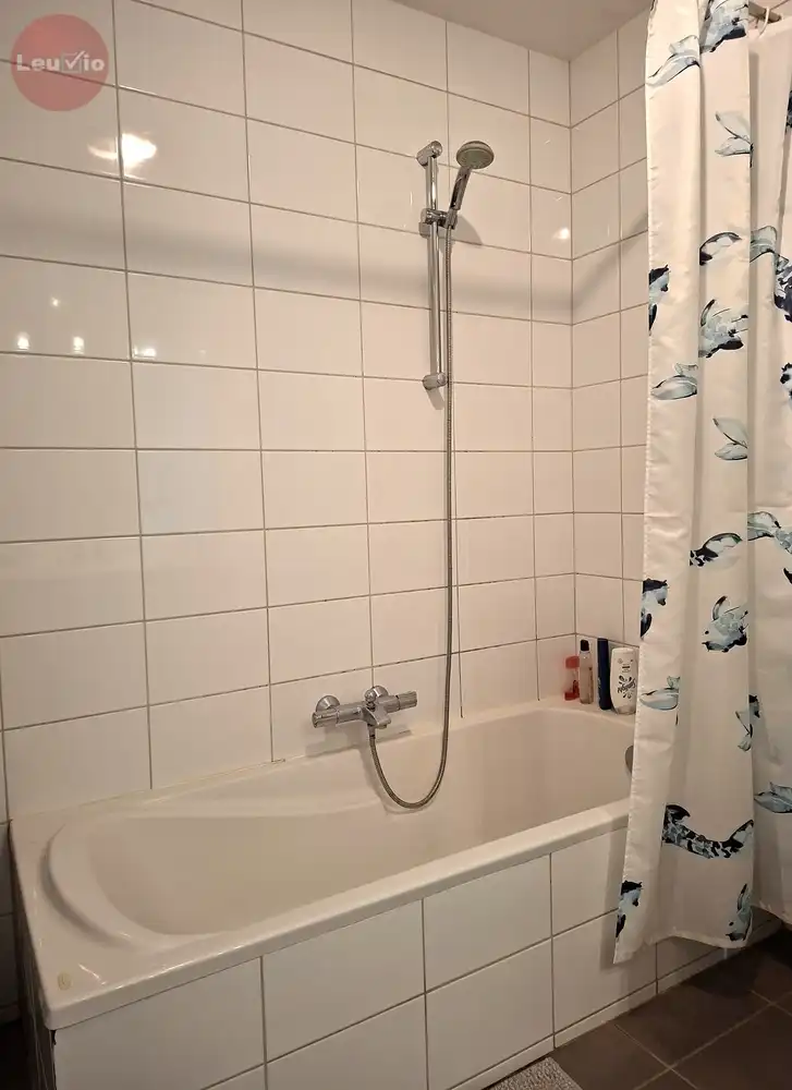 Ruim gelijkvloers appartement / 2 slpkms / autostaanplaats /tuintje in stadsrand foto 15