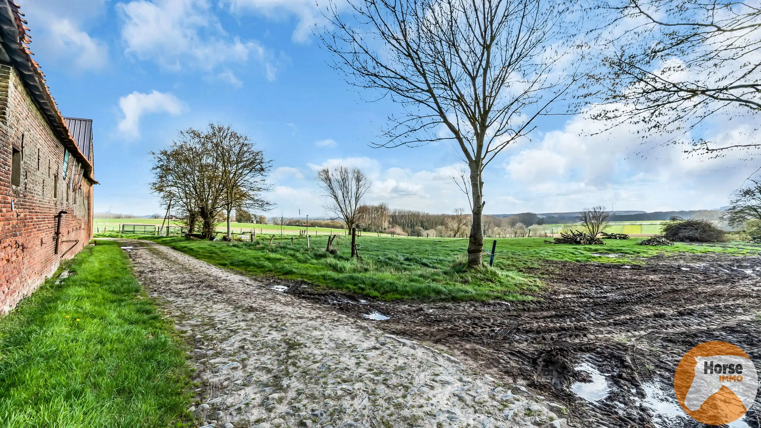 MAARKEDAL - Vierkantshoeve 1,7HA, extra grond mogelijk foto 10