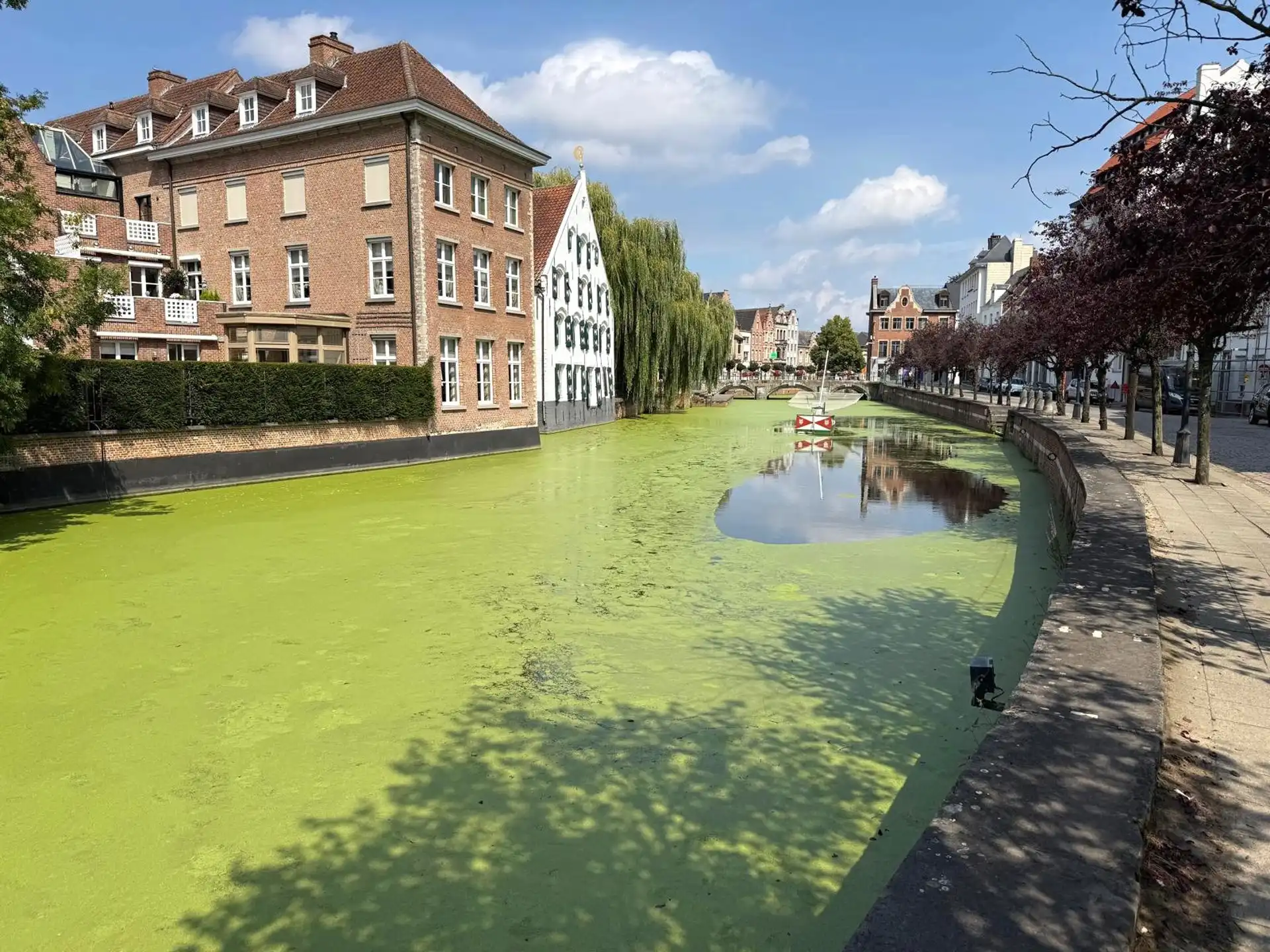Veelzijdig handelspand op TOP-locatie foto 4
