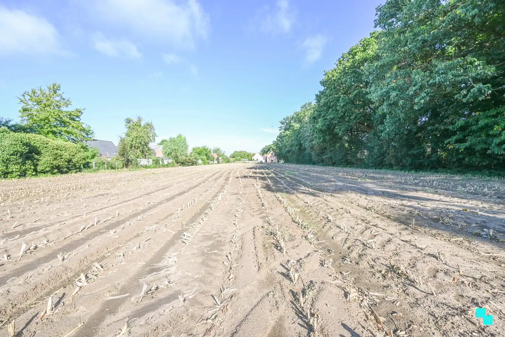 Exclusieve bouwgronden in residentiële laan te Wielsbeke foto 9