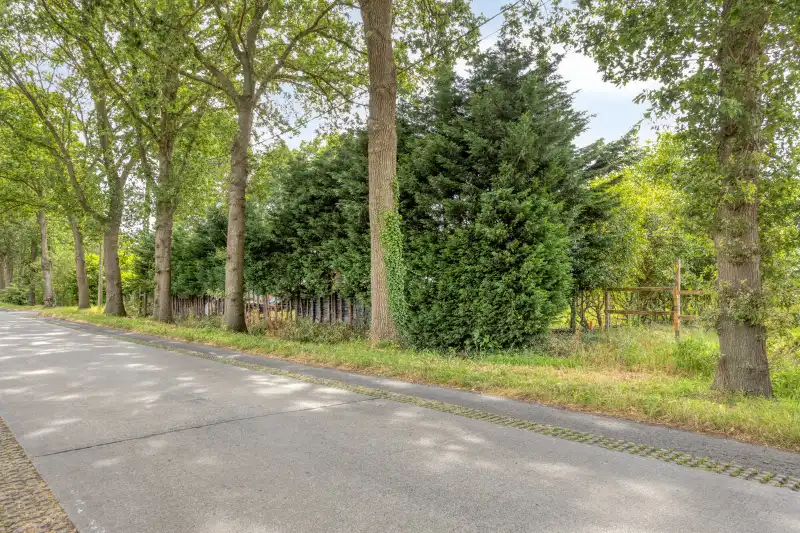 Rustig gelegen perceel van 1.288 m² in een groene omgeving foto 3