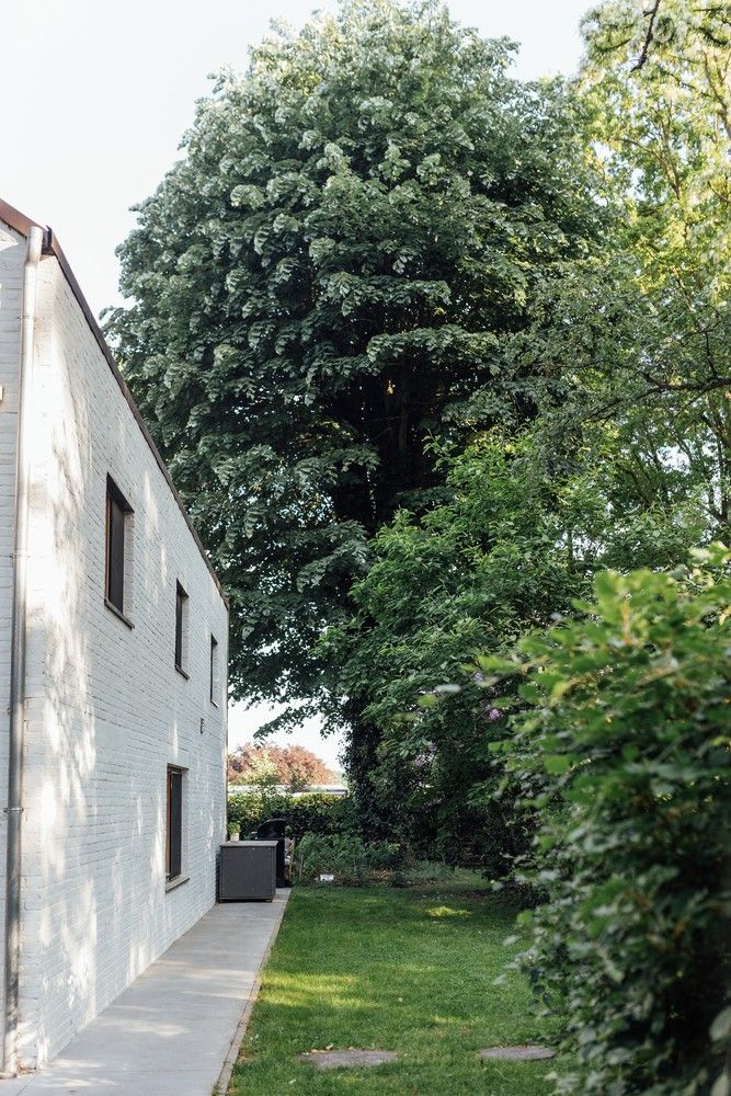 Prachtig gerenoveerde woning op uniek perceel te Putte foto 20