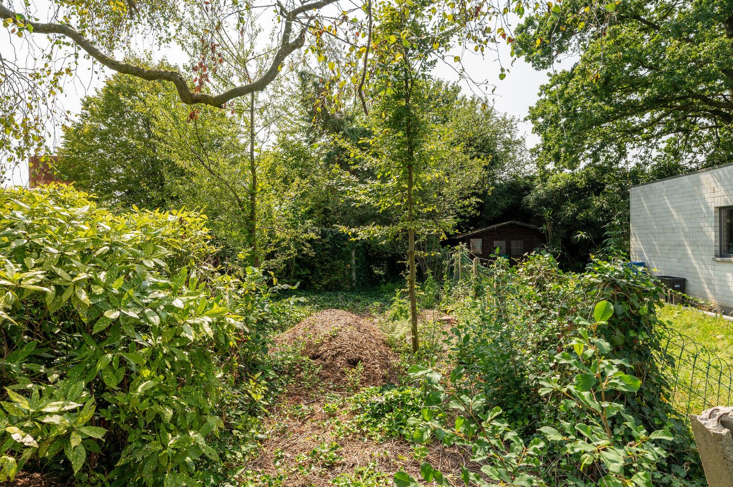 Te renoveren gezinswoning, 3 slaapkamers, garage,tuin foto 31