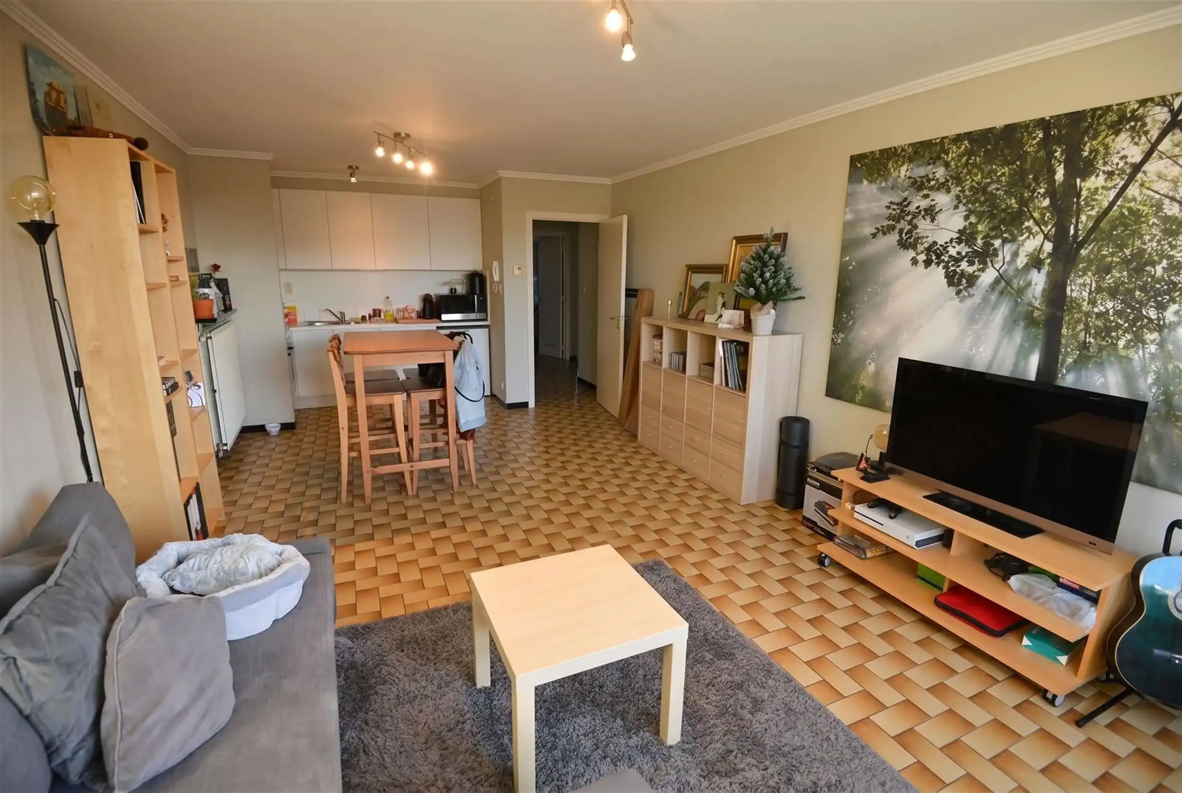 appartement foto 3