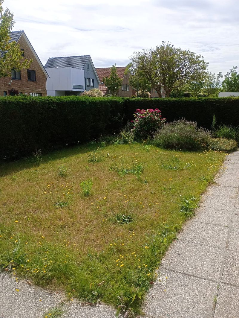 Te renoveren woning op Toplocatie foto 4