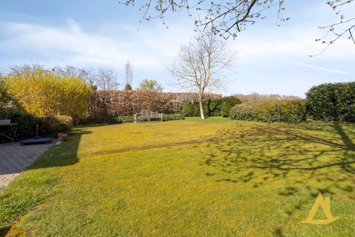 OPEN BEBOUWING MET PRACHTIG ZICHT OP DE VELDEN TE MOLENSTEDE! foto 22