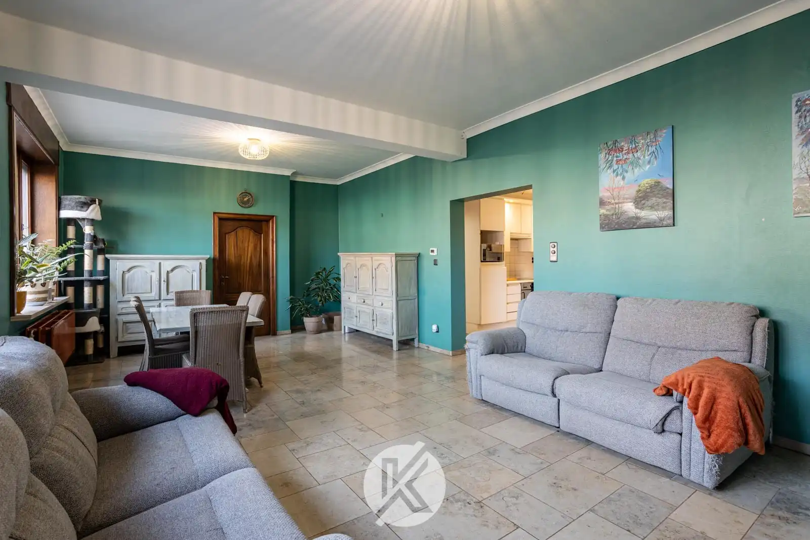 Ruime woning met polyvalente bijgebouwen foto 3