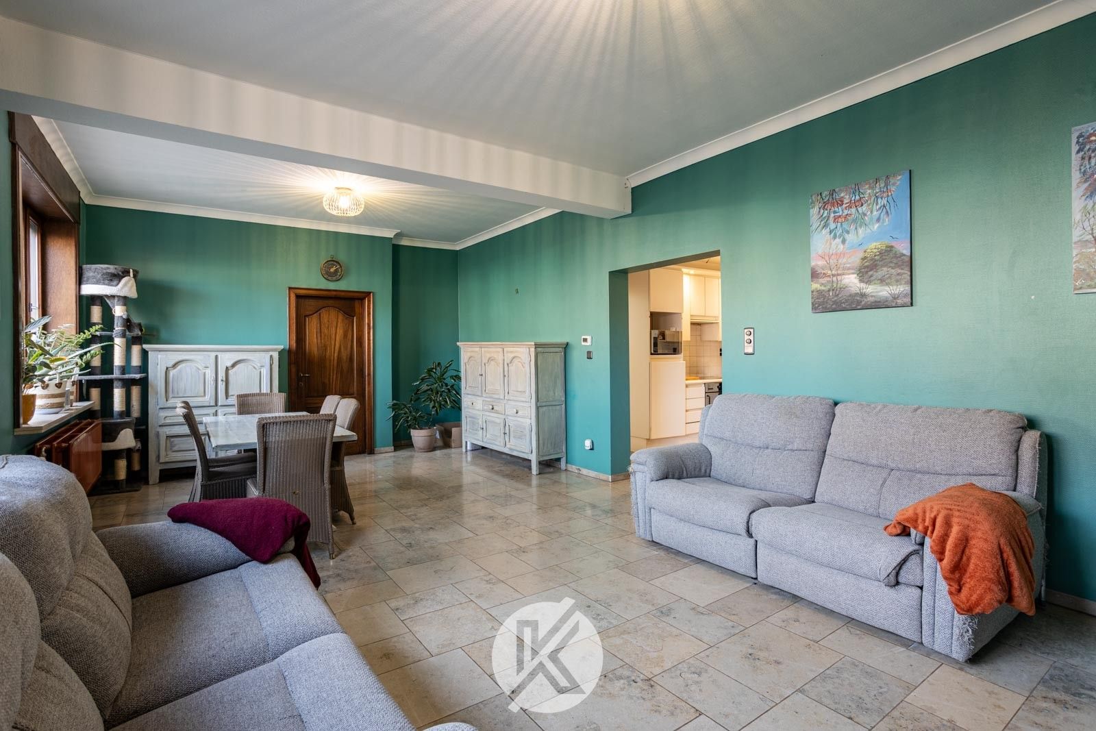 Ruime woning met polyvalente bijgebouwen foto 2