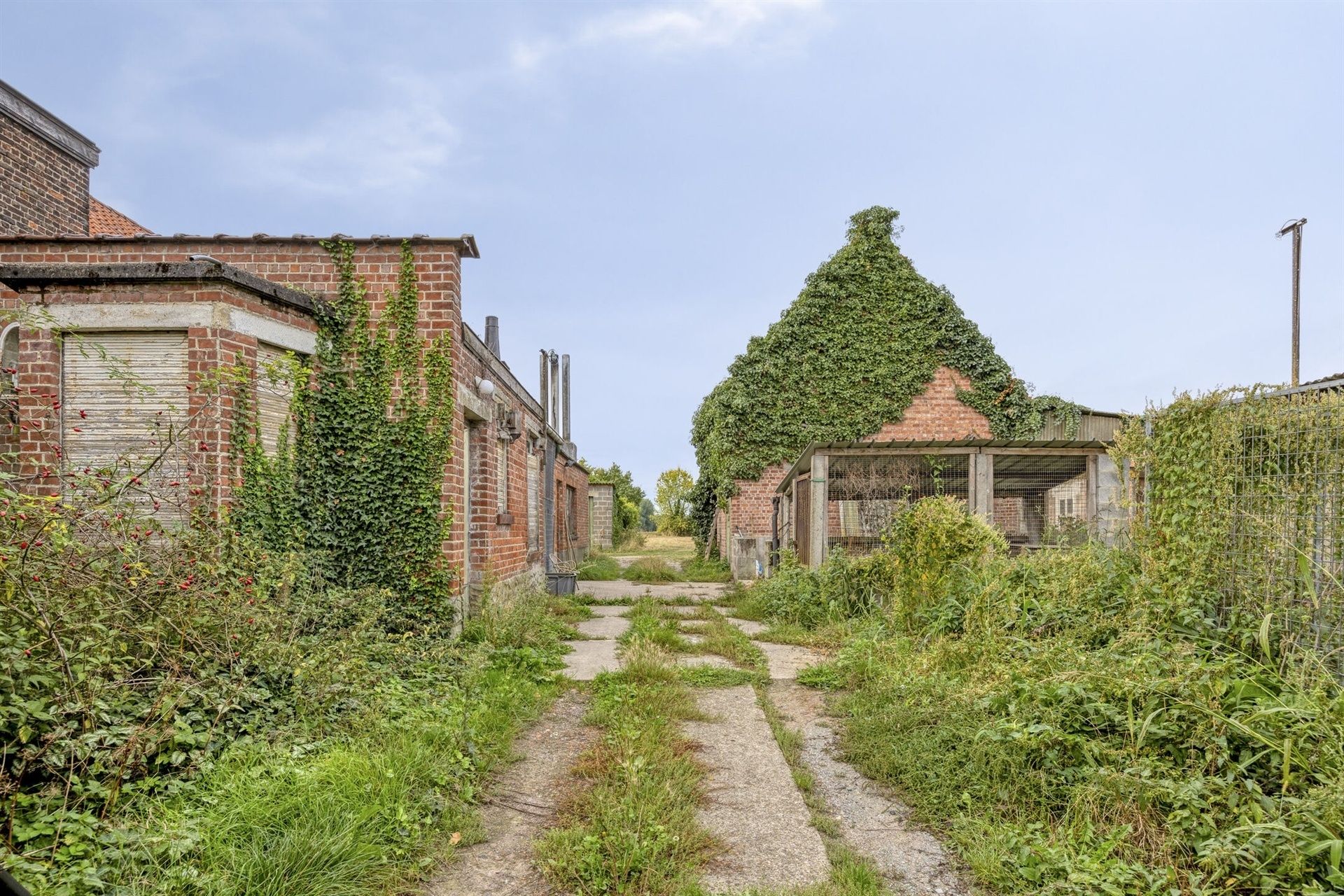Volledig te renoveren hoeve foto 7