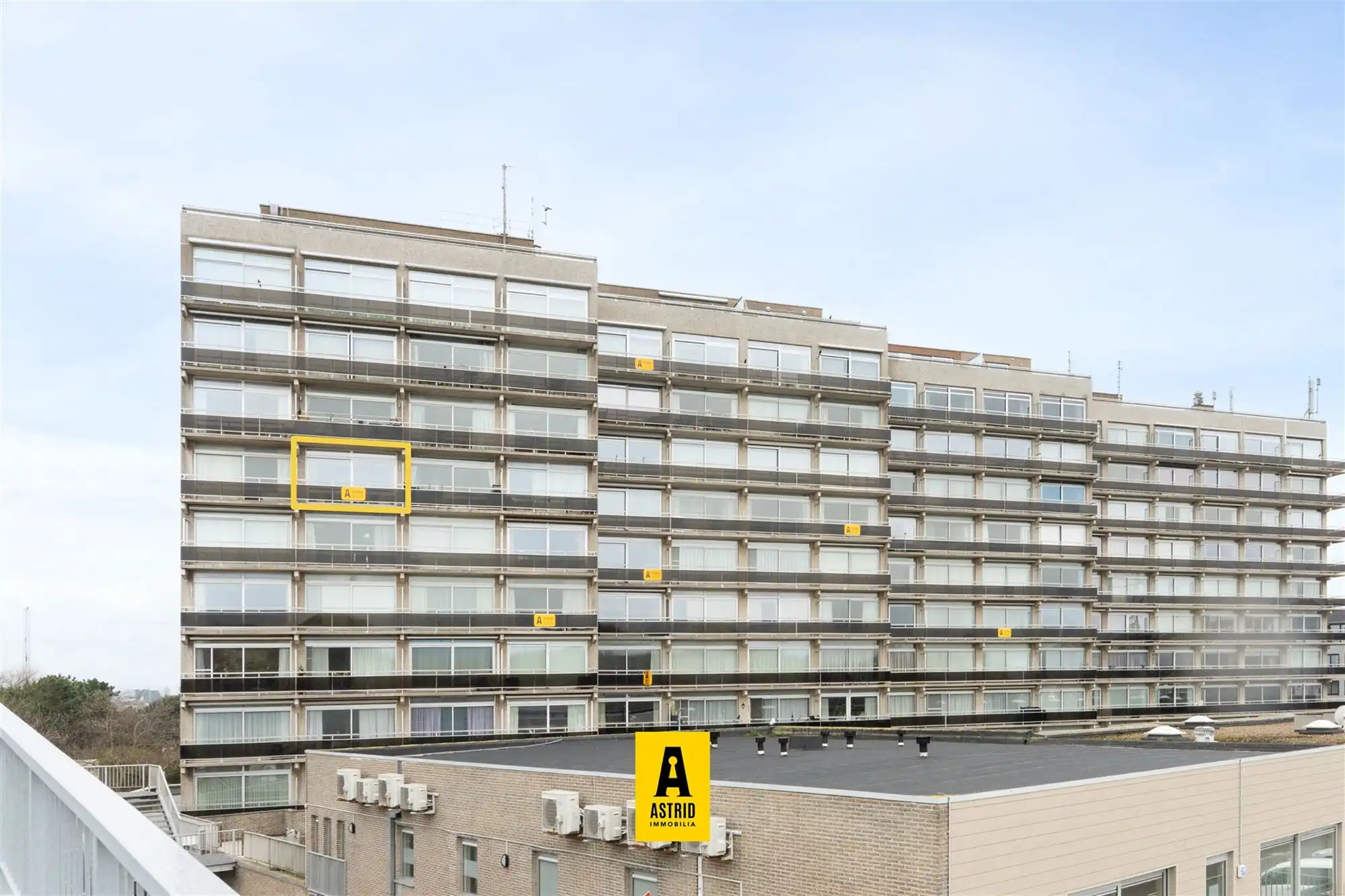 Studio met zeezicht én zon! foto {{pictureIndex}}