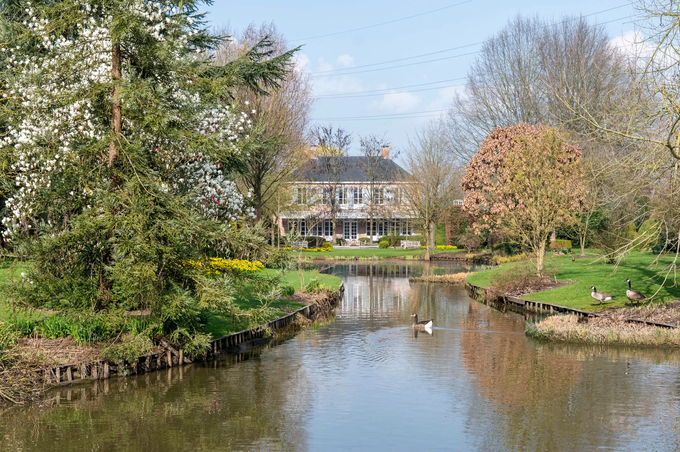 GEEL - Stijlvolle villa met parktuin foto 19
