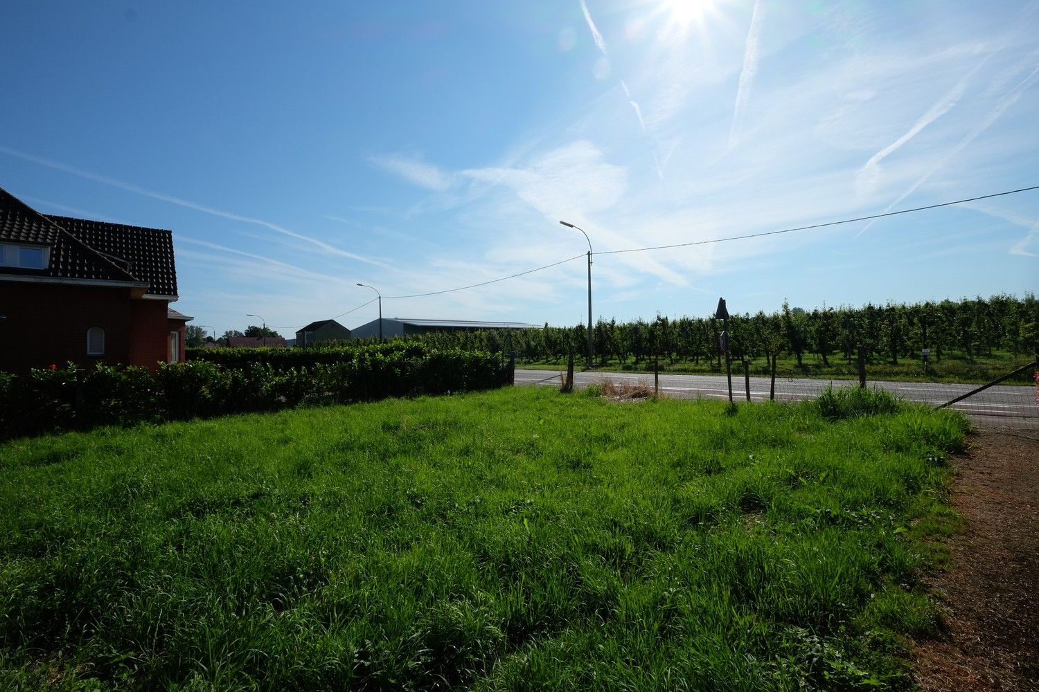 Te Koop: Perceel op Uitstekende Locatie in Ordingen (tussen Sint-Truiden en Zepperen) foto 7