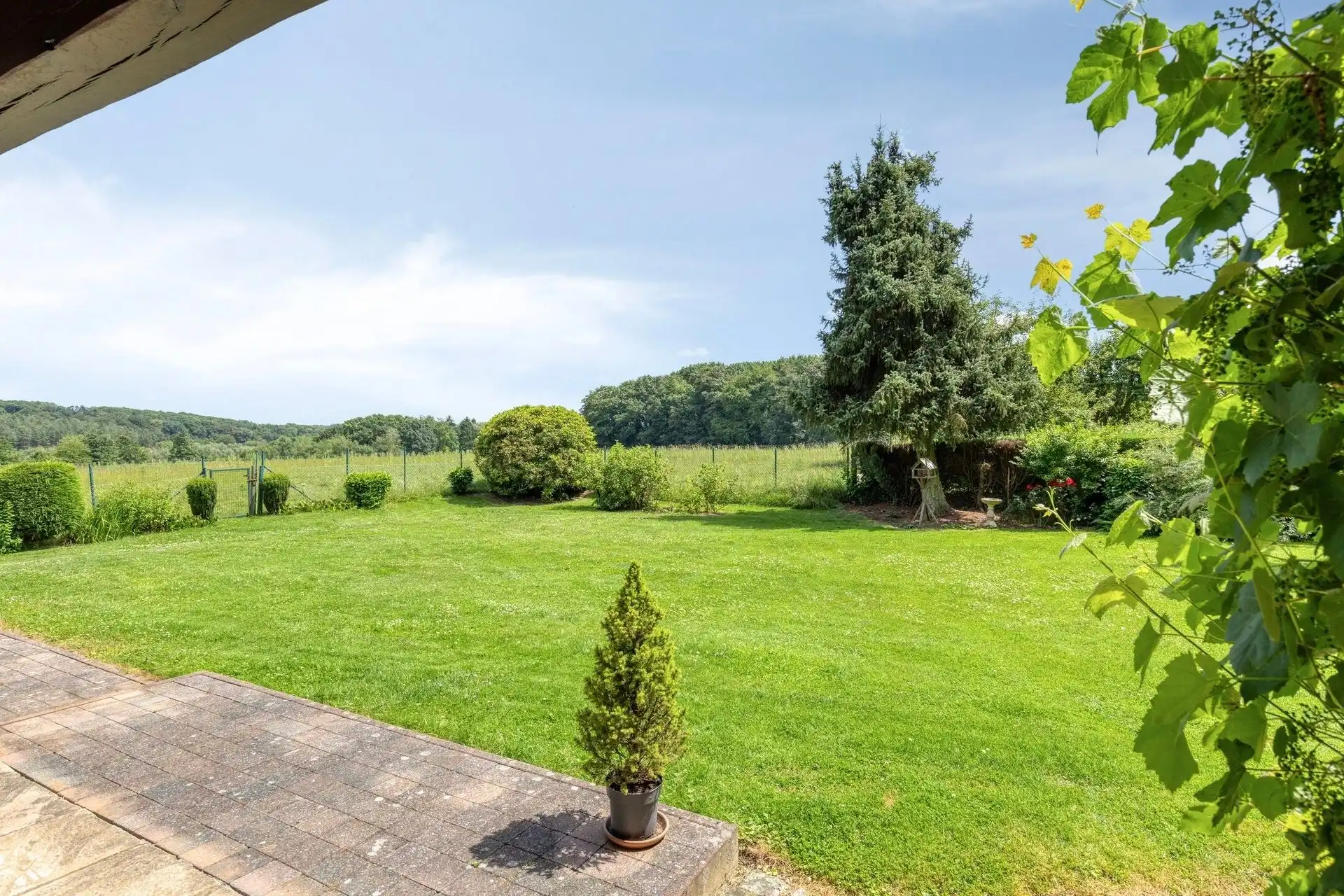 Prachtige klassieke villa op een perceel van ± 7.500 m²  foto 24