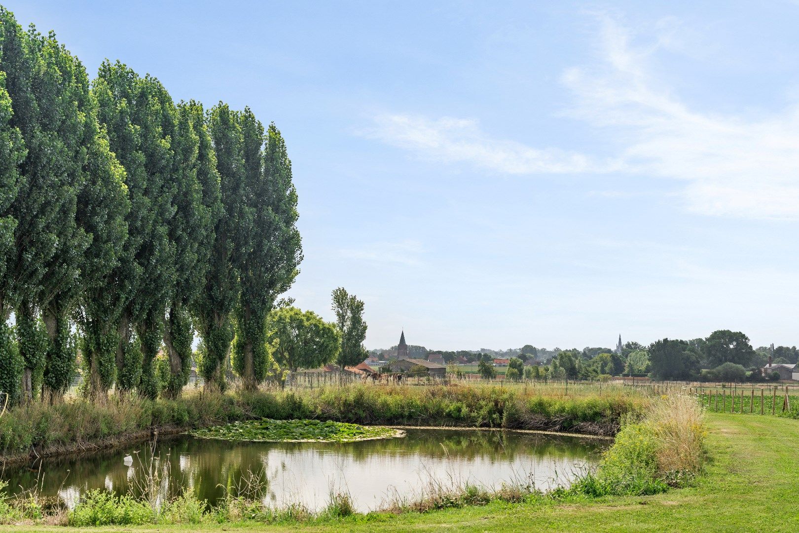 Landelijke woning met ruime loods en grote verzorgde tuin in Moorslede/Slypskapelle foto 13