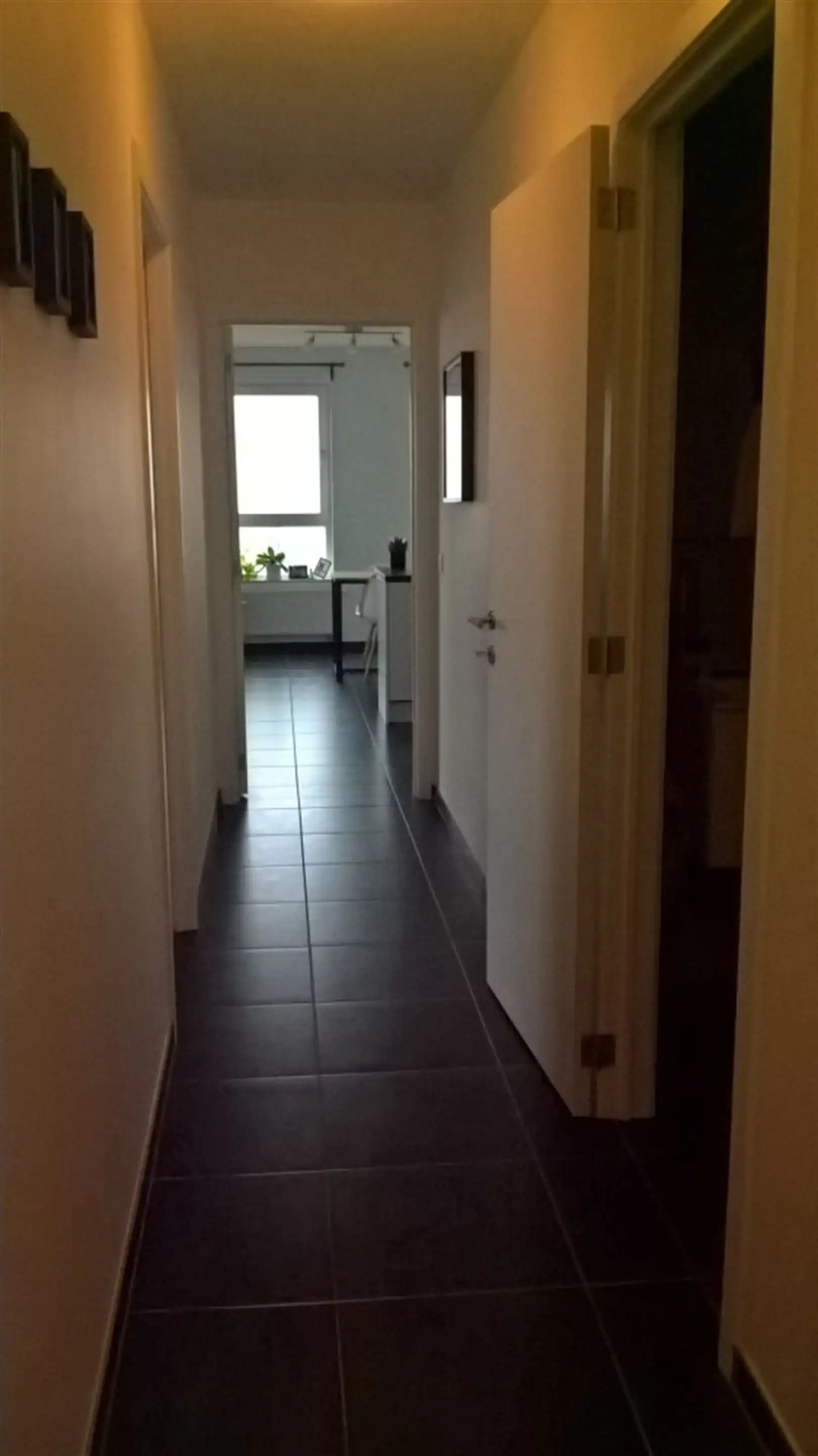 Appartement foto 3