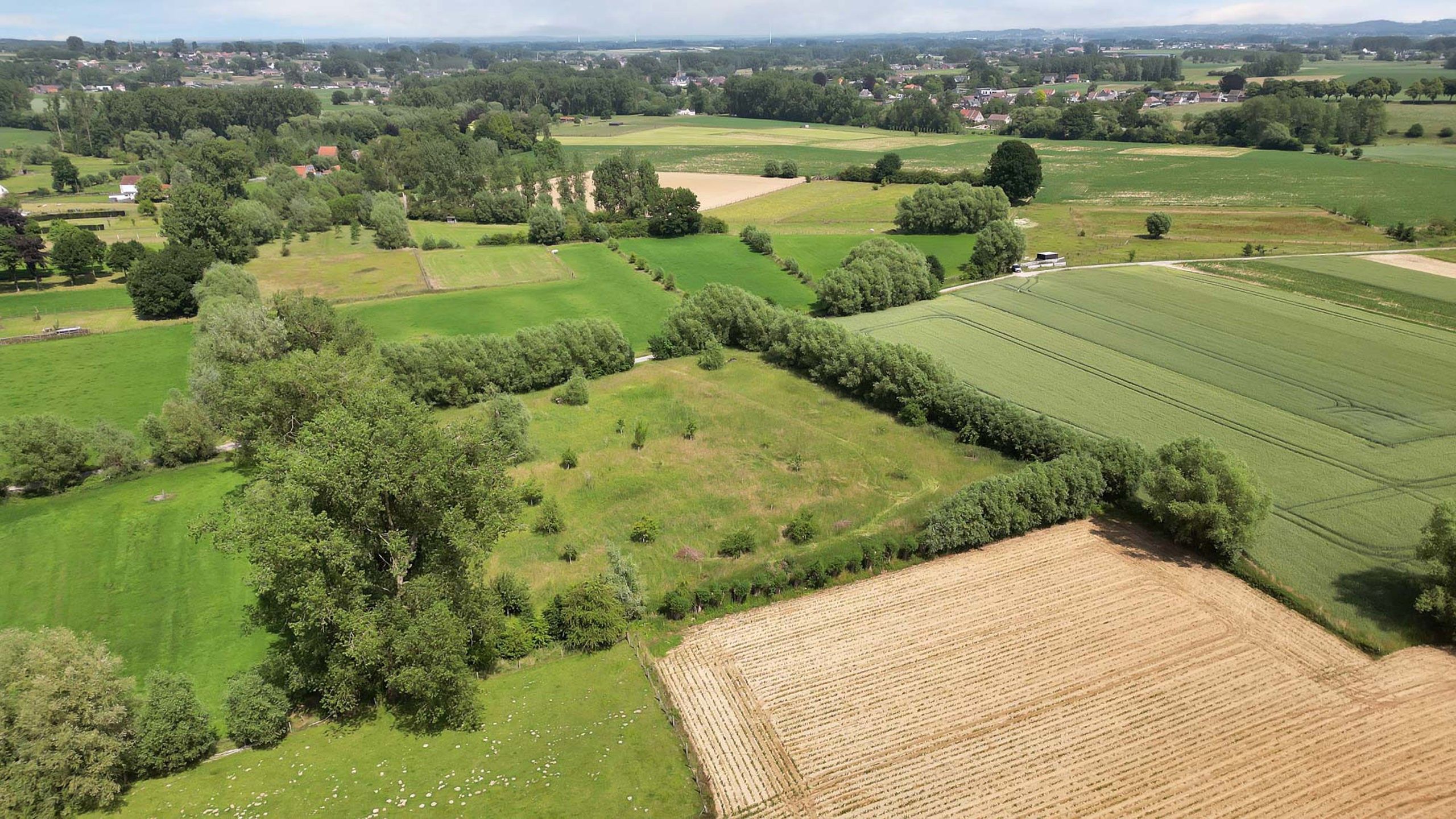Weideland op een goede locatie foto 5