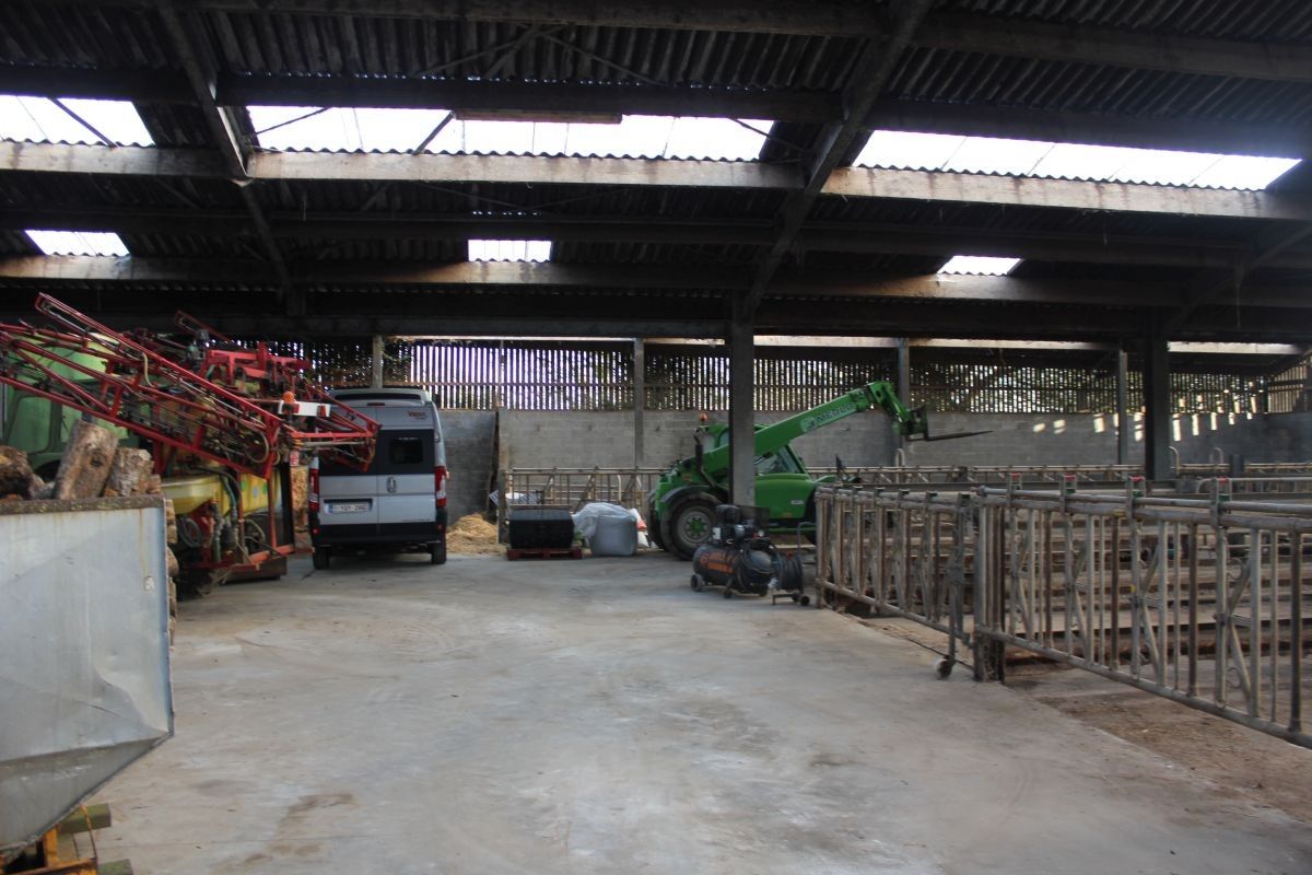 Hoeve met ruime stallen te koop te Zottegem op 4,68 ha foto 8