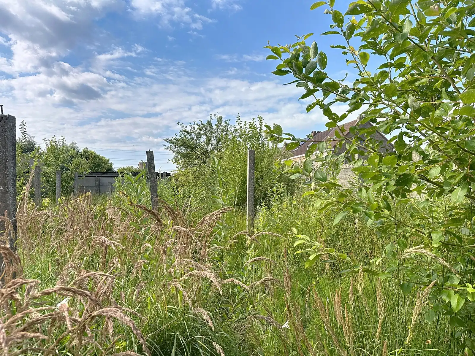 Renovatiewoning met (bouw)grond in hart van Schelle foto 5