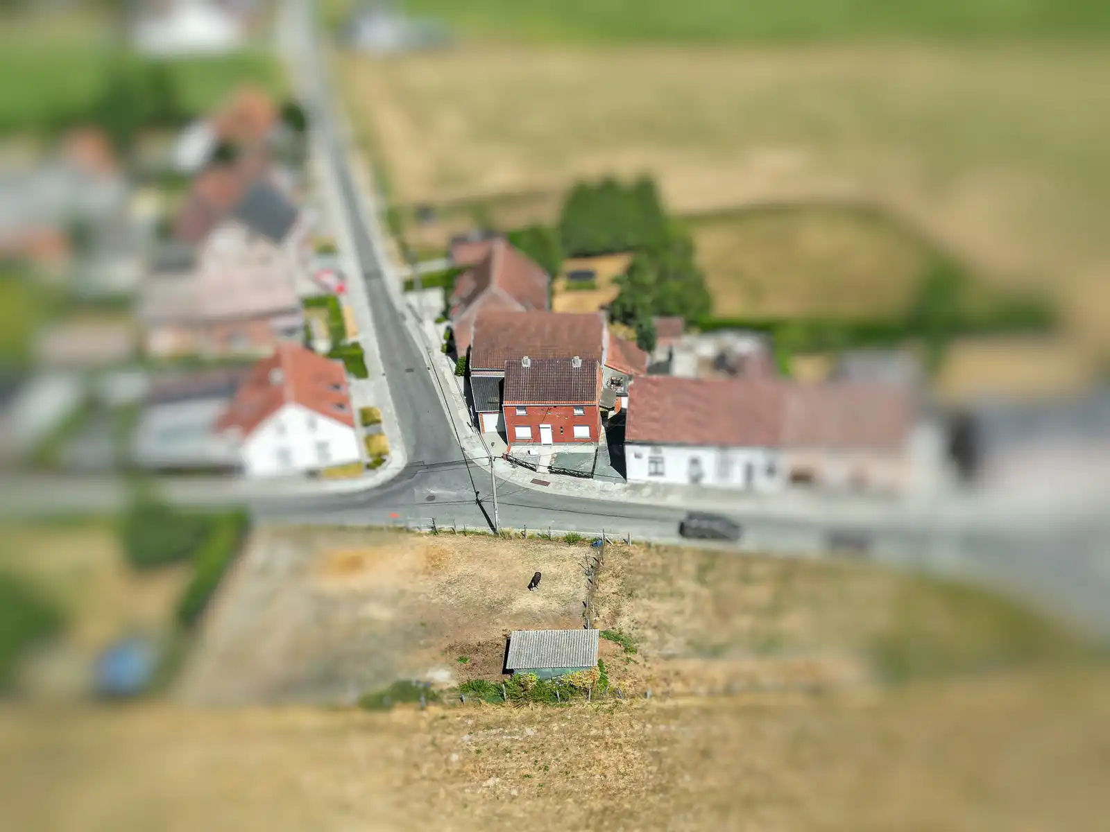 Rustig gelegen te renoveren HOB woning in Kapelle-op-den-Bos foto 4